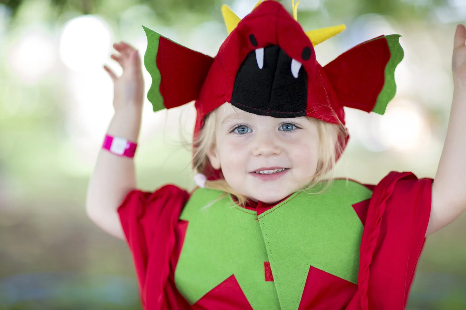   Little Folks ,  Greenman Festival  [15] 