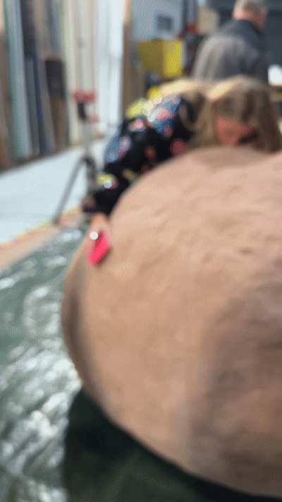 Untitled 4.42.28 PM.gif