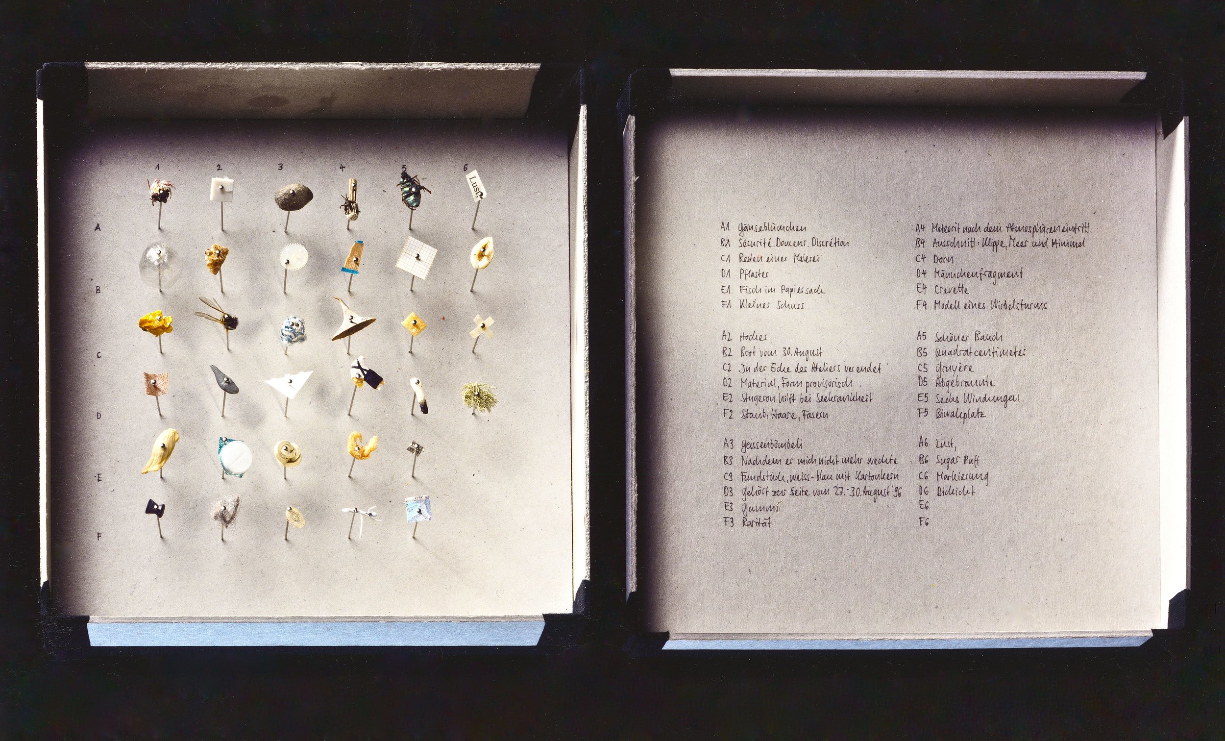 Sachen und Wörter/ things and words (individual objects with declaration)