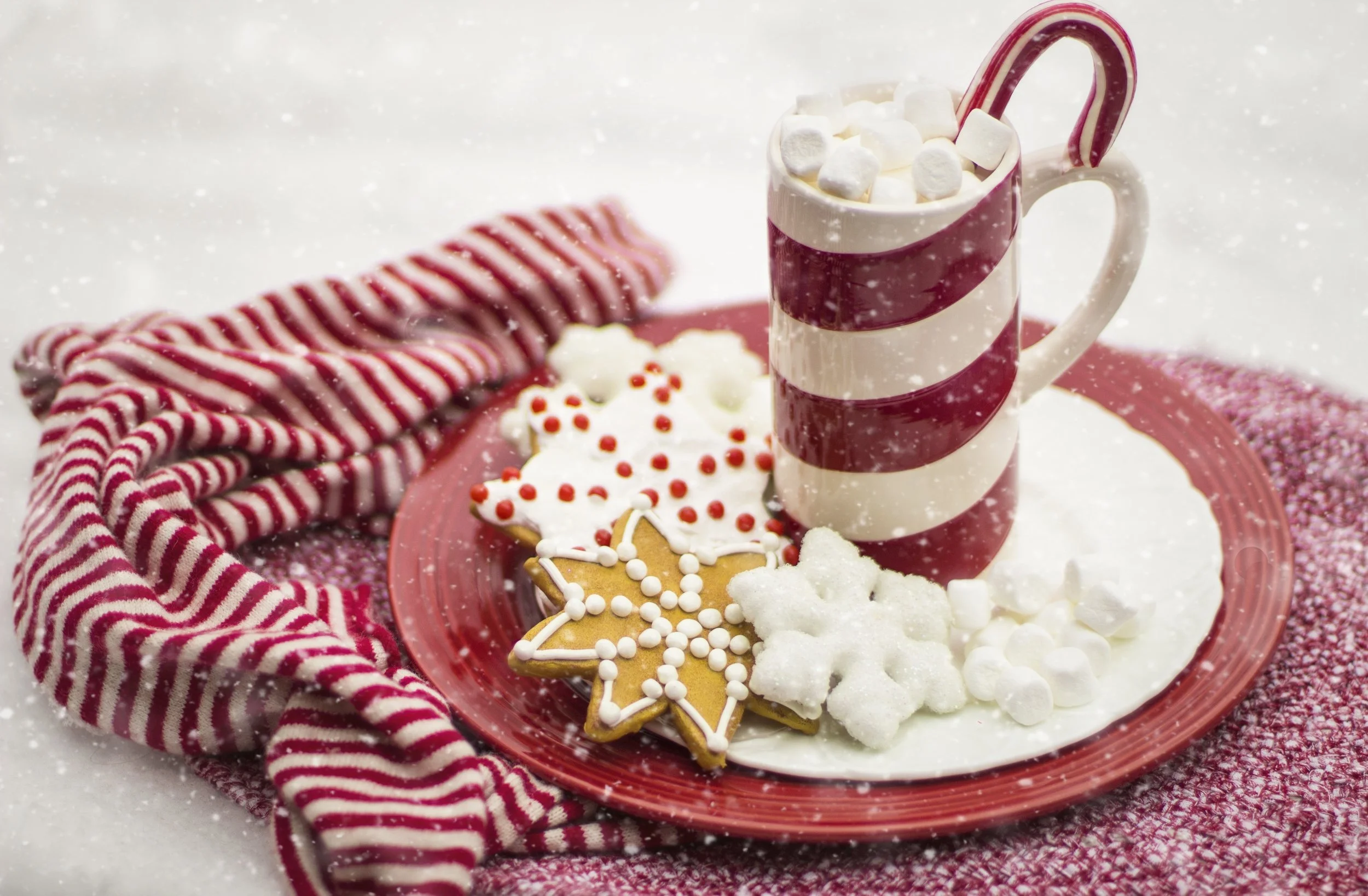 beverage-candy-candy-cane-260476.jpg