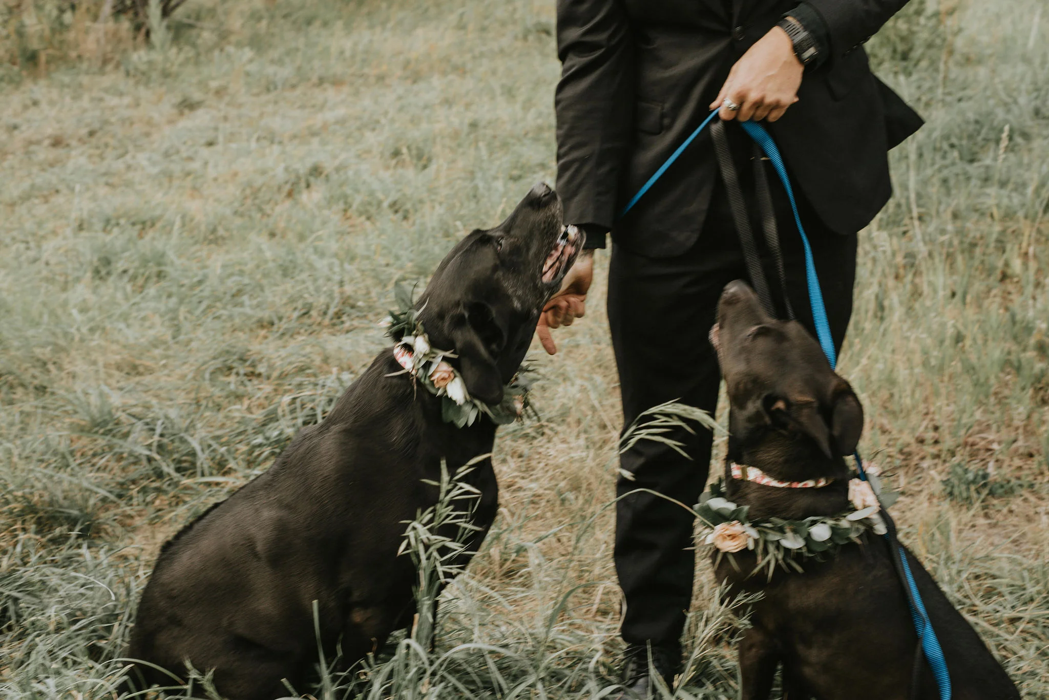 Image by Jessica Moore, Image Source , florals by Fairytale Floral