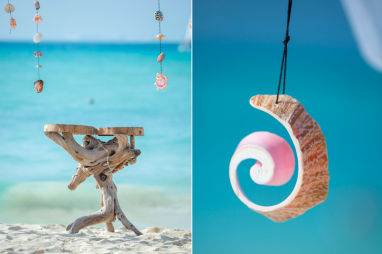 Seashell decor by the sea shore captured by Susan Pacek Photography