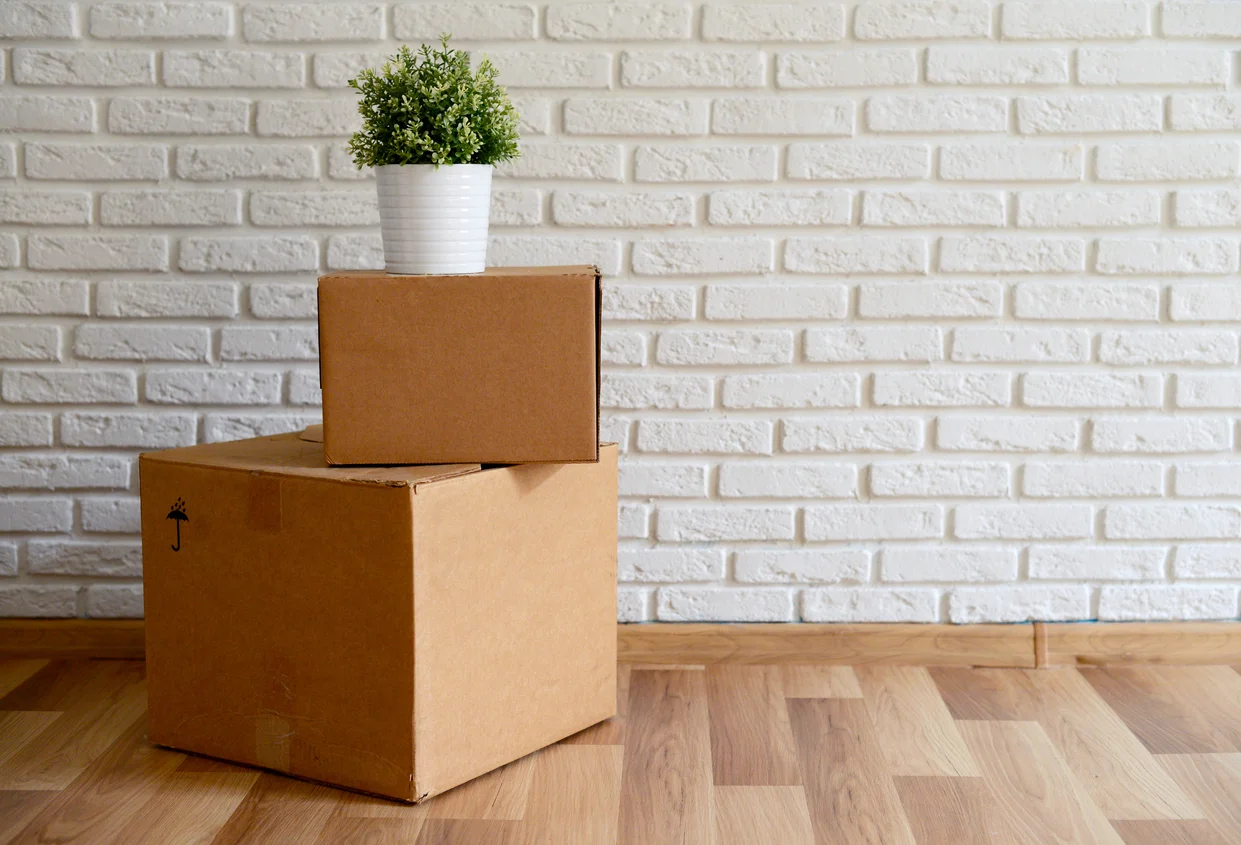 iStock-519716974.jpg