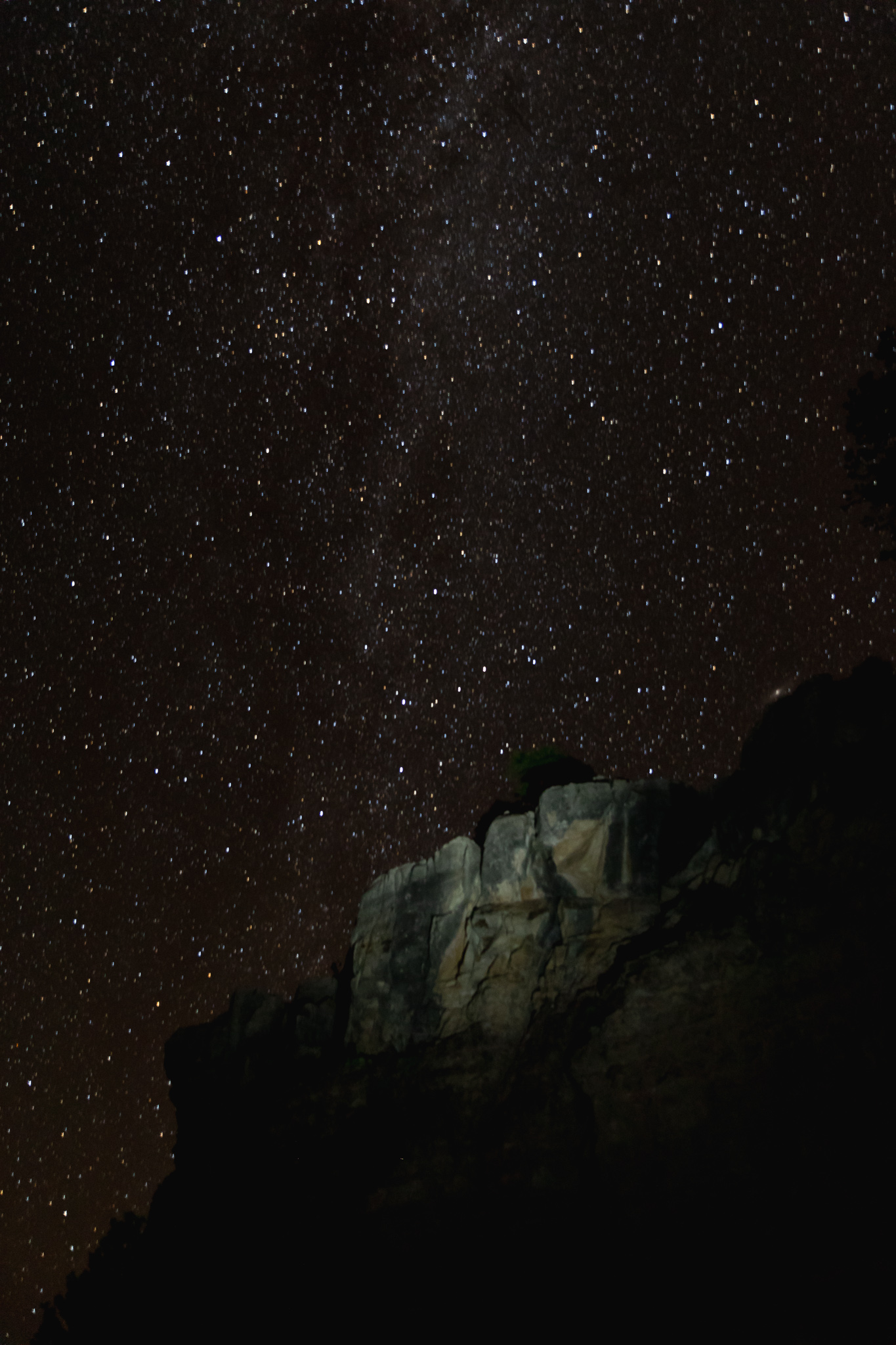 7Y2A6992-2.jpg