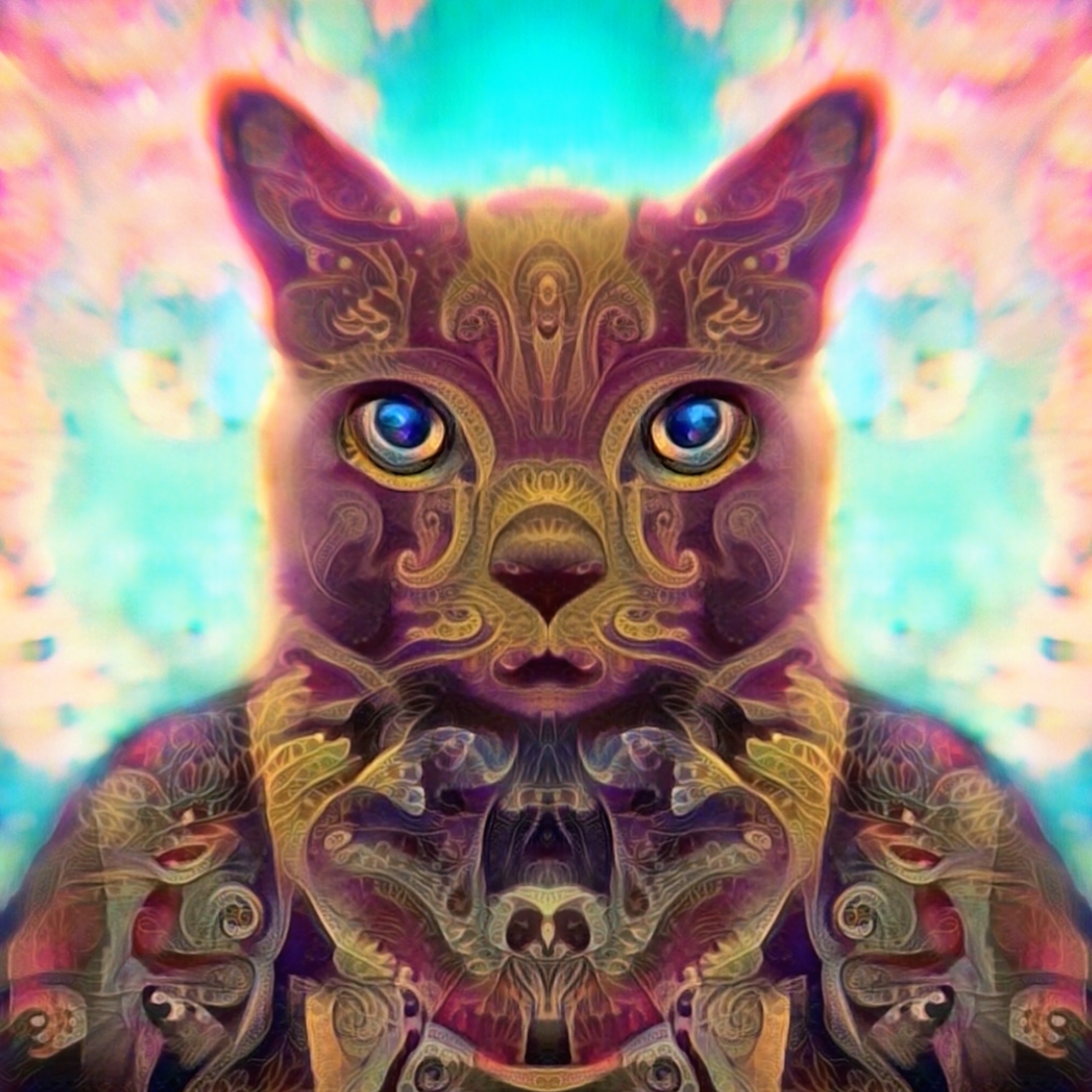 Catnip Skies