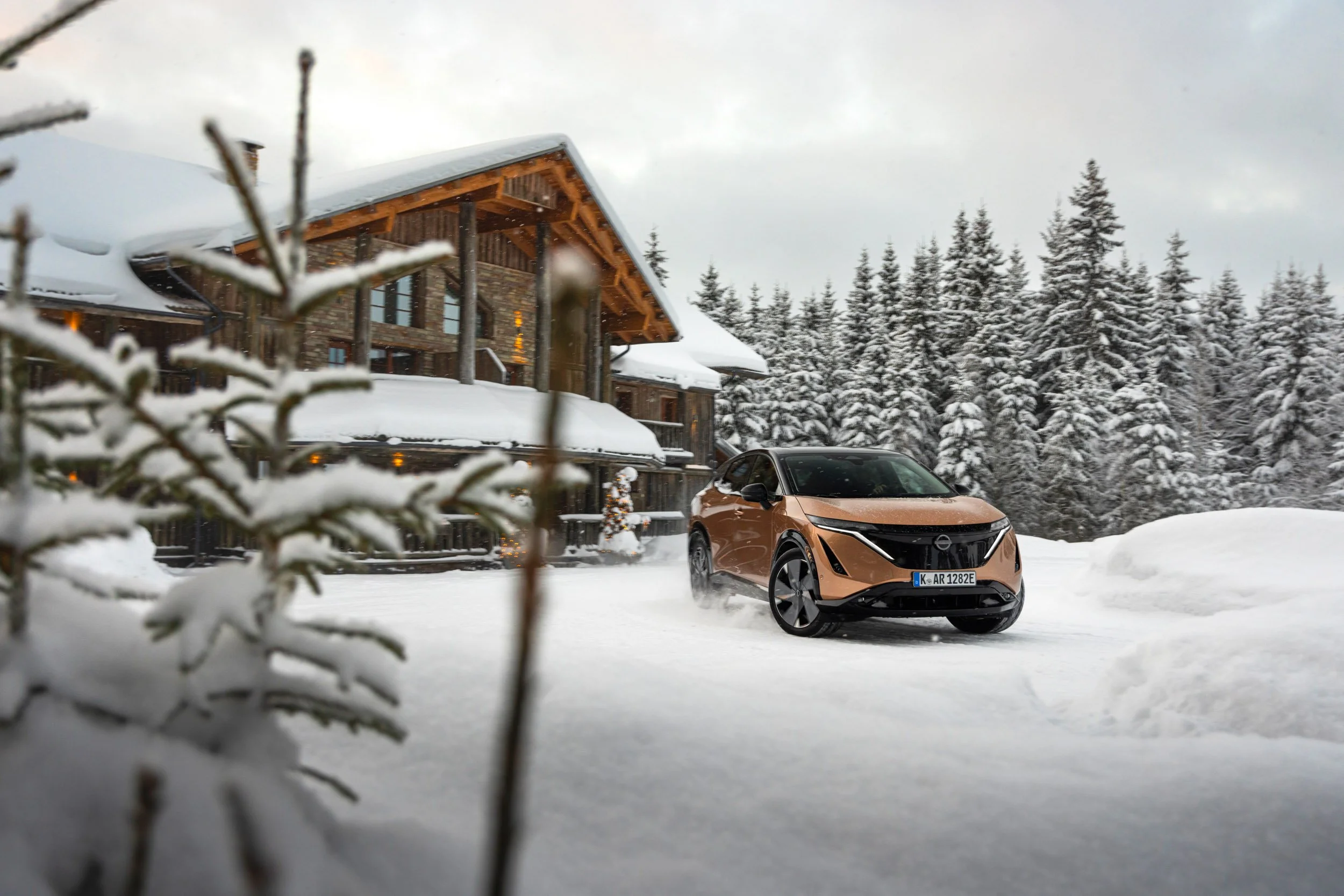 Dinamic Finland WIP 1.2_0004.jpg