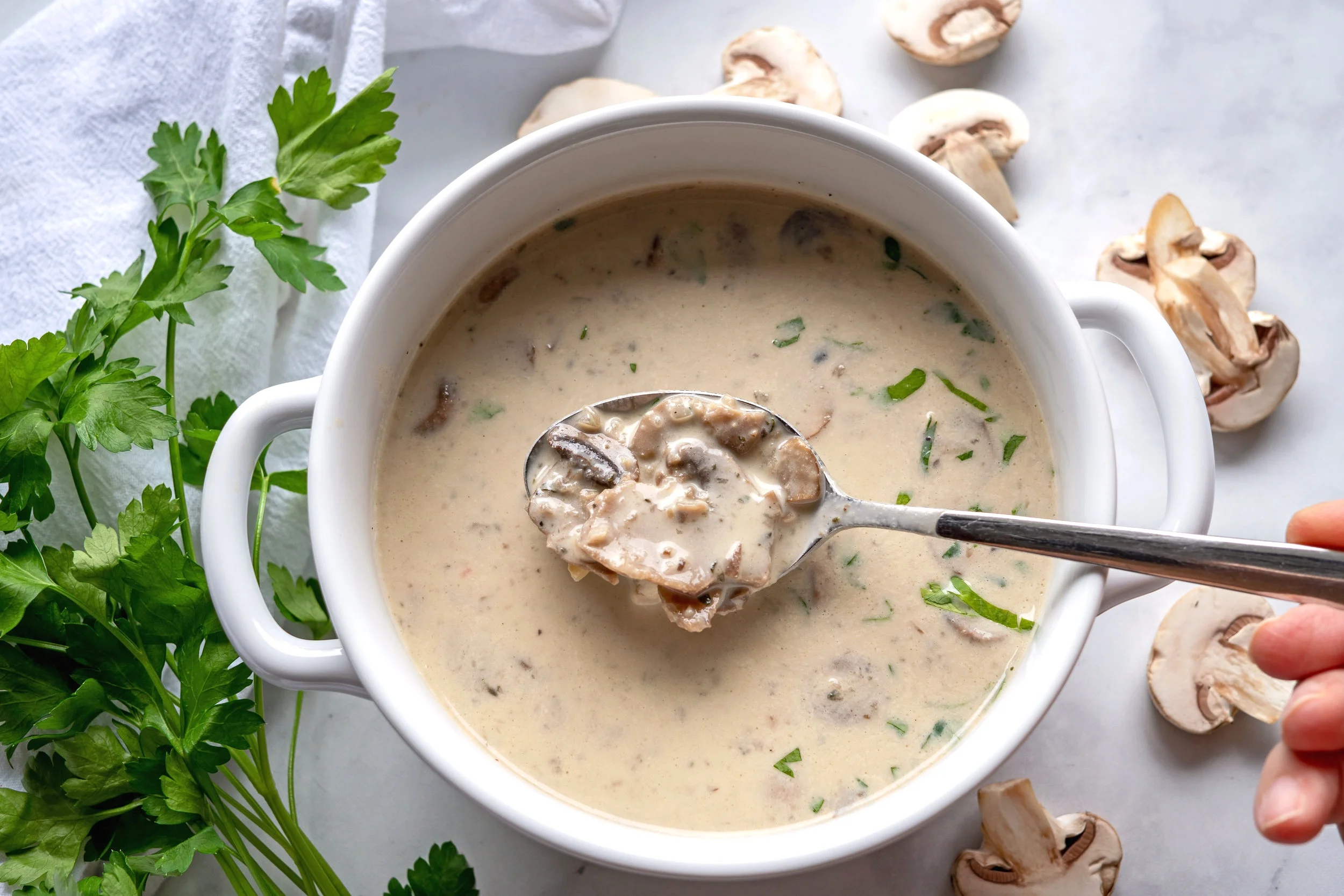 Cream of Mushroom Soup — The Yummy Vegan