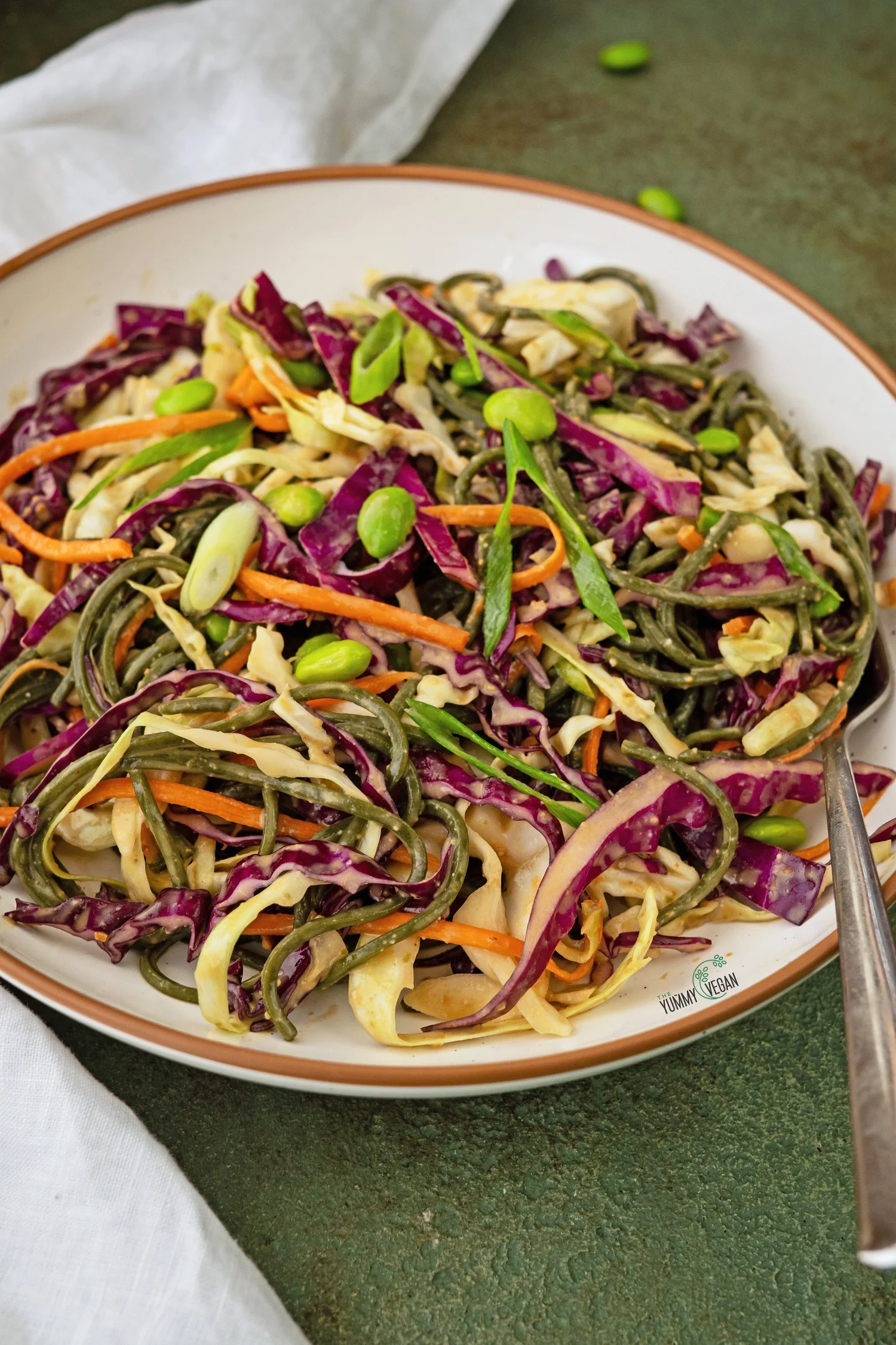 Cabbage Crunch Salad — The Yummy Vegan