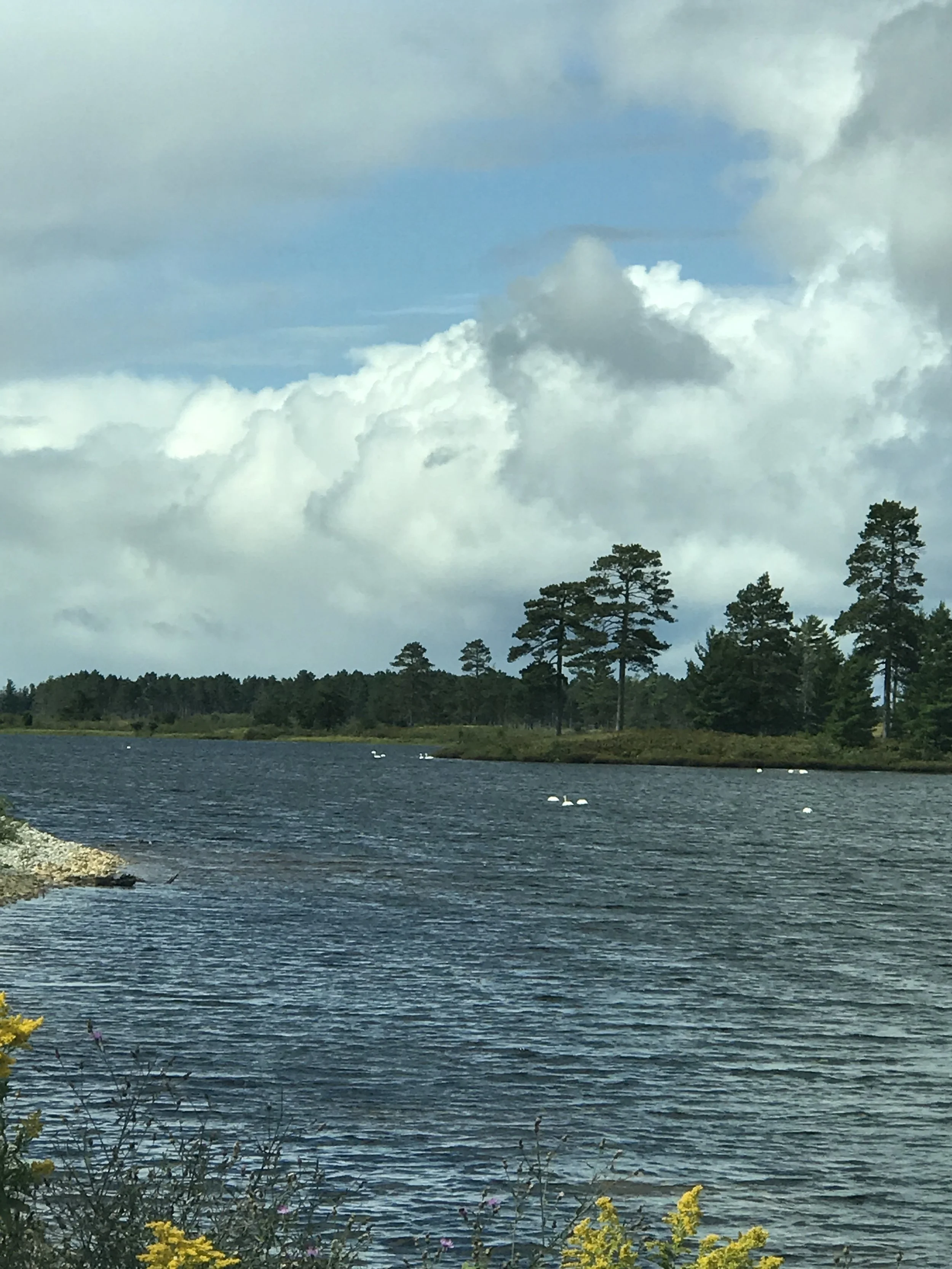 Seney Wildlife Refuge