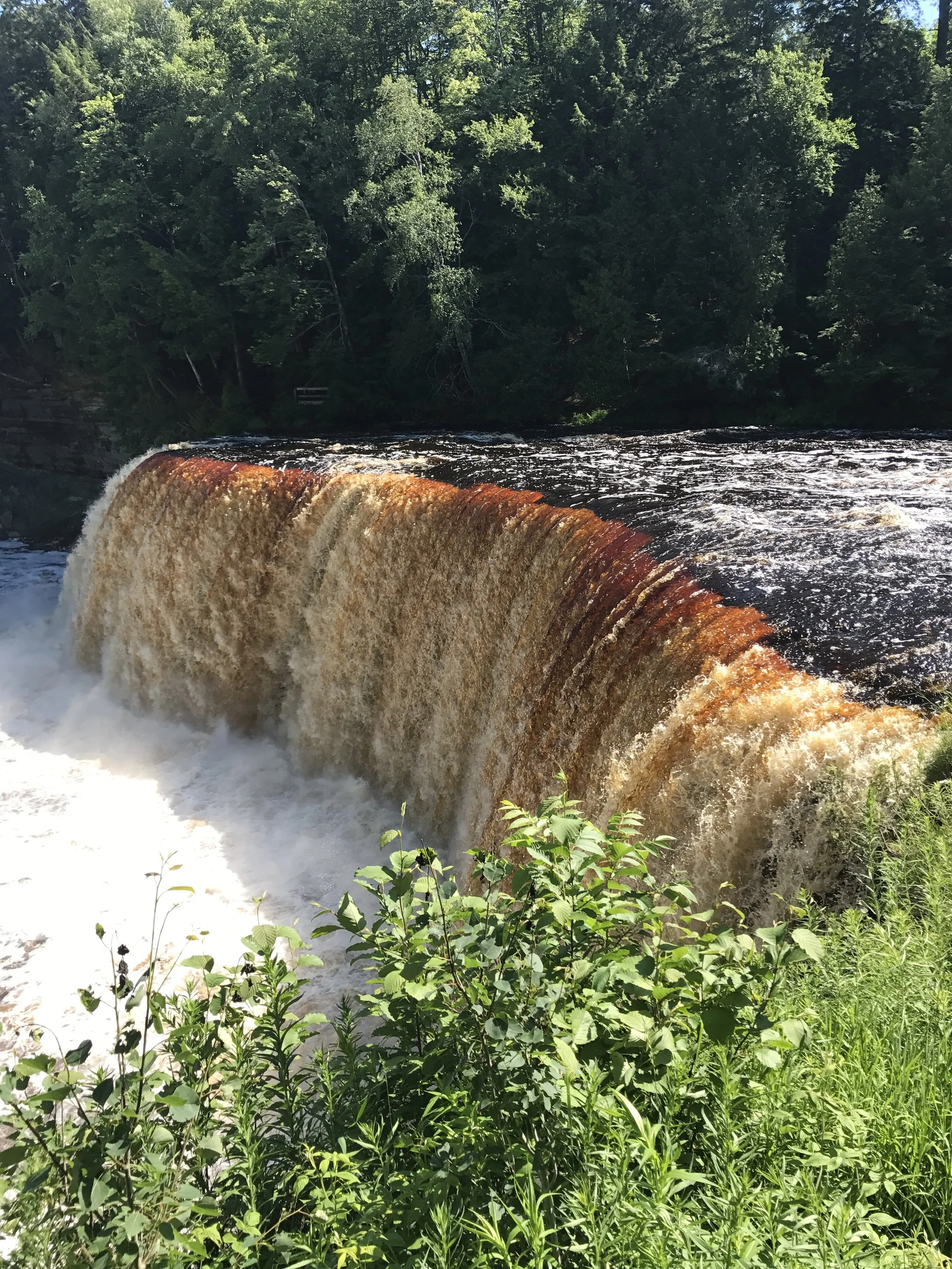 Tahquamenon Falls 