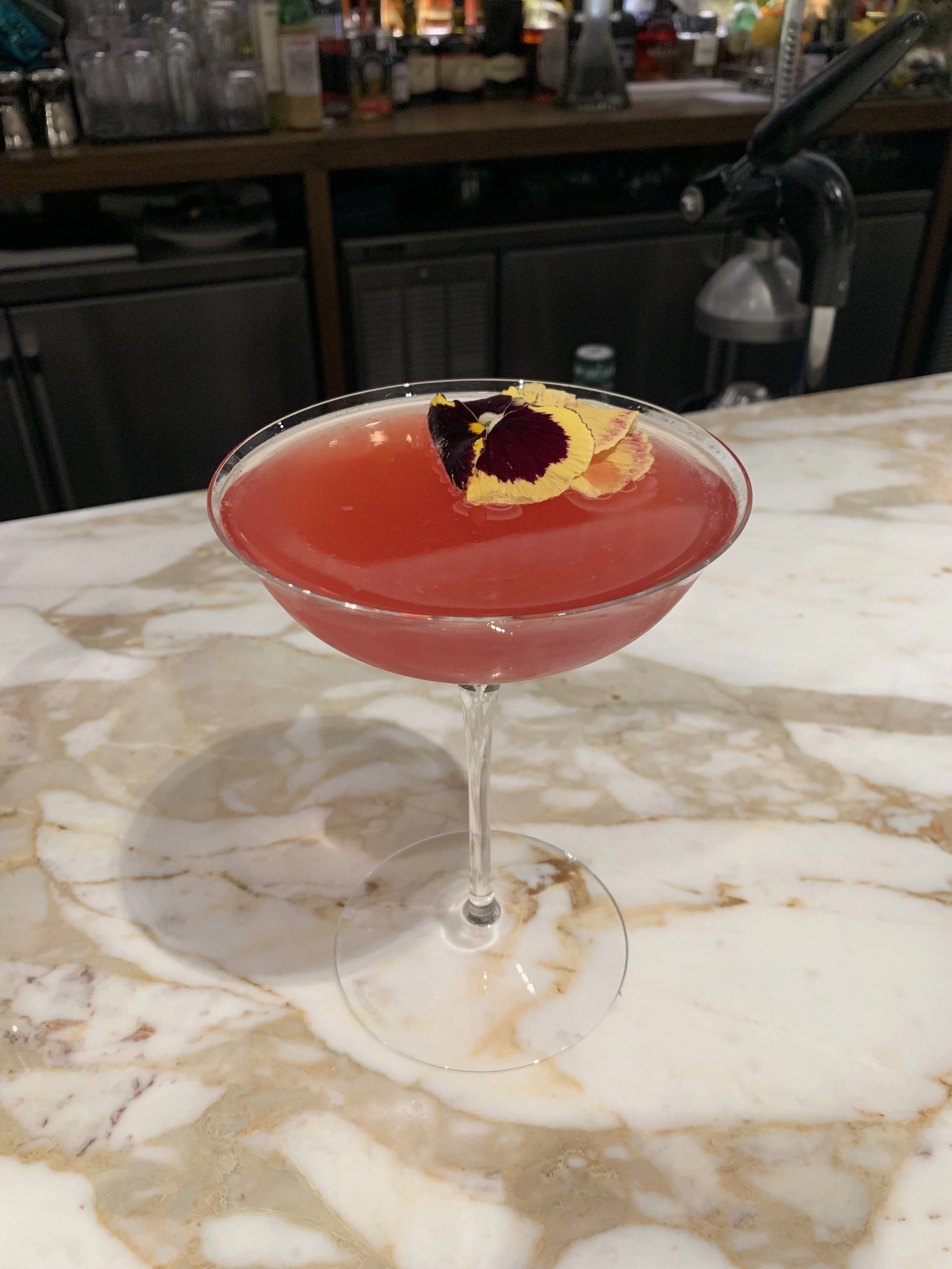 Early Bloom at The Zodiac Room