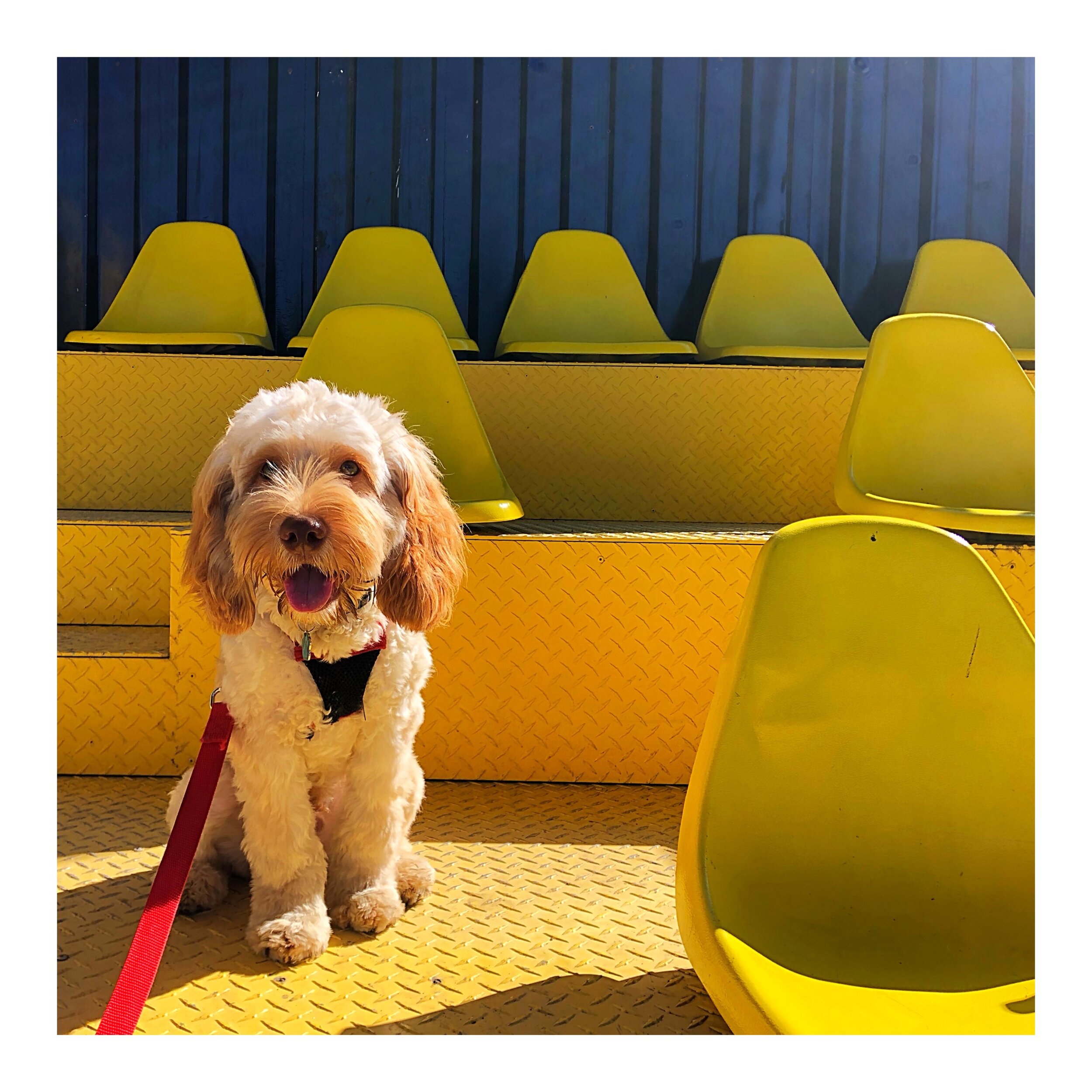 Whitagram-Image (2).JPG