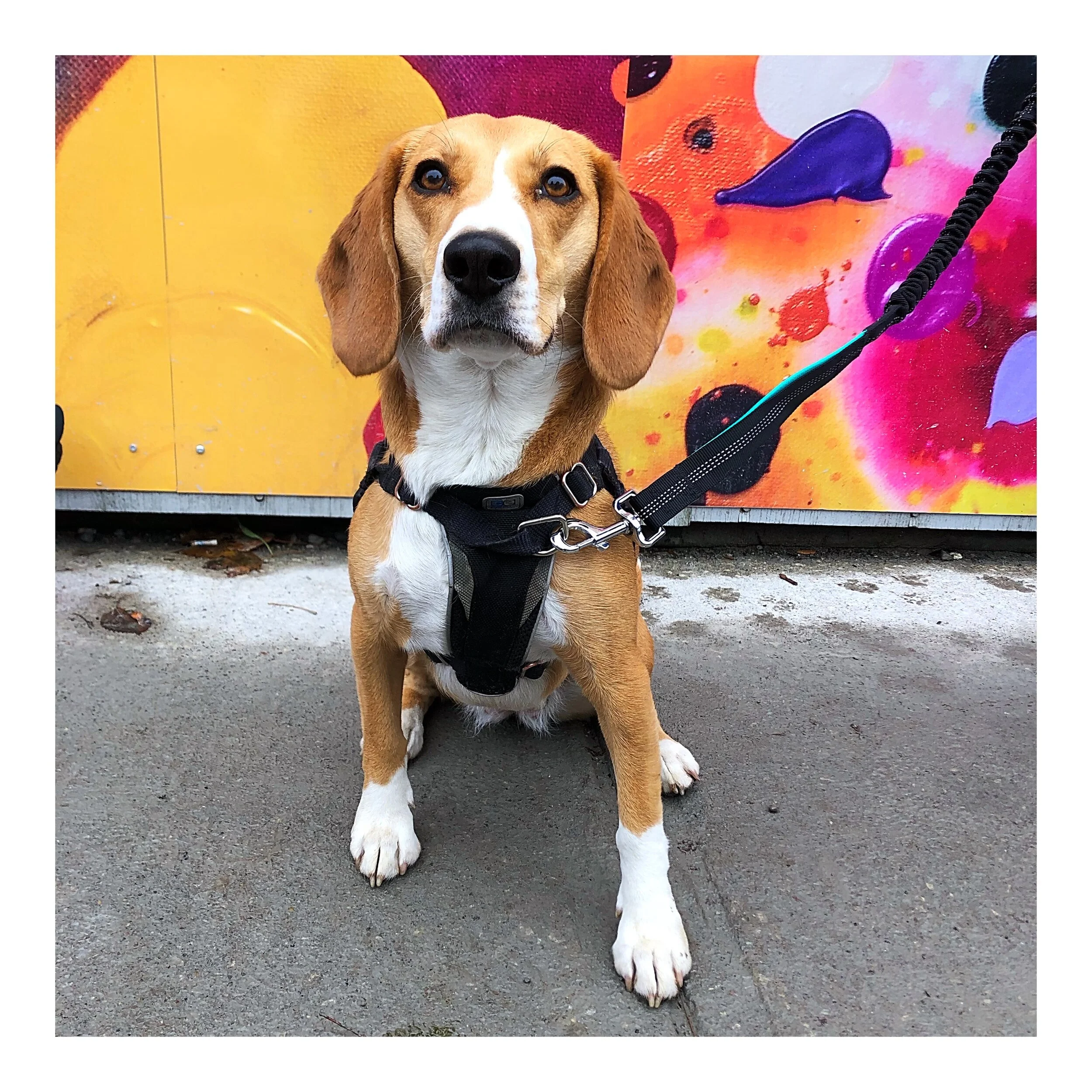 Whitagram-Image (3).JPG