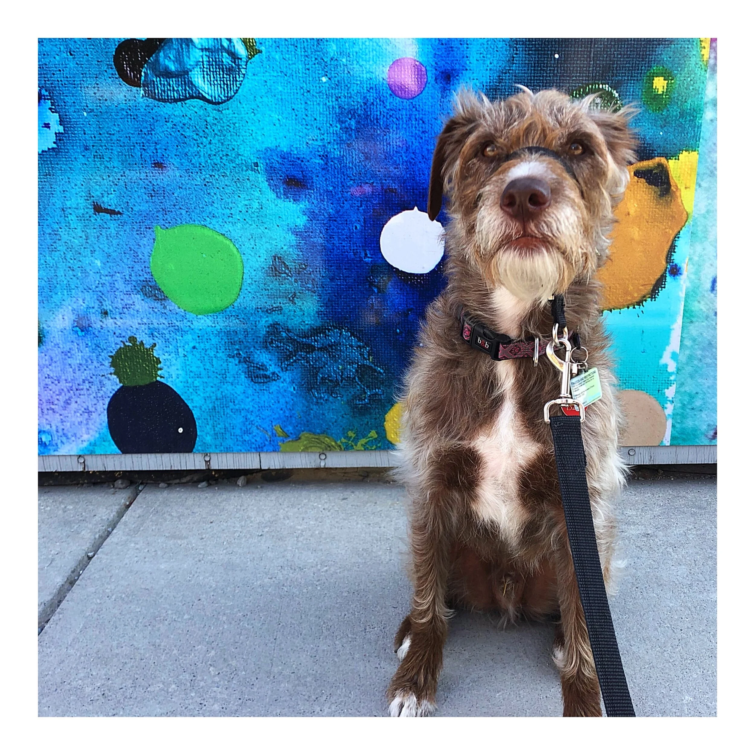 Whitagram-Image (1).JPG