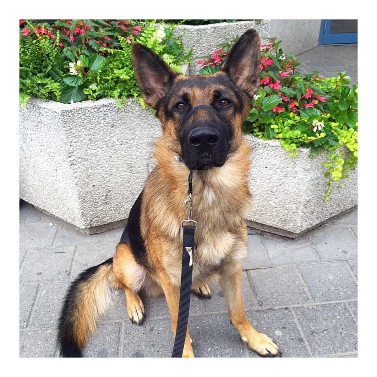 Whitagram-Image (6).JPG