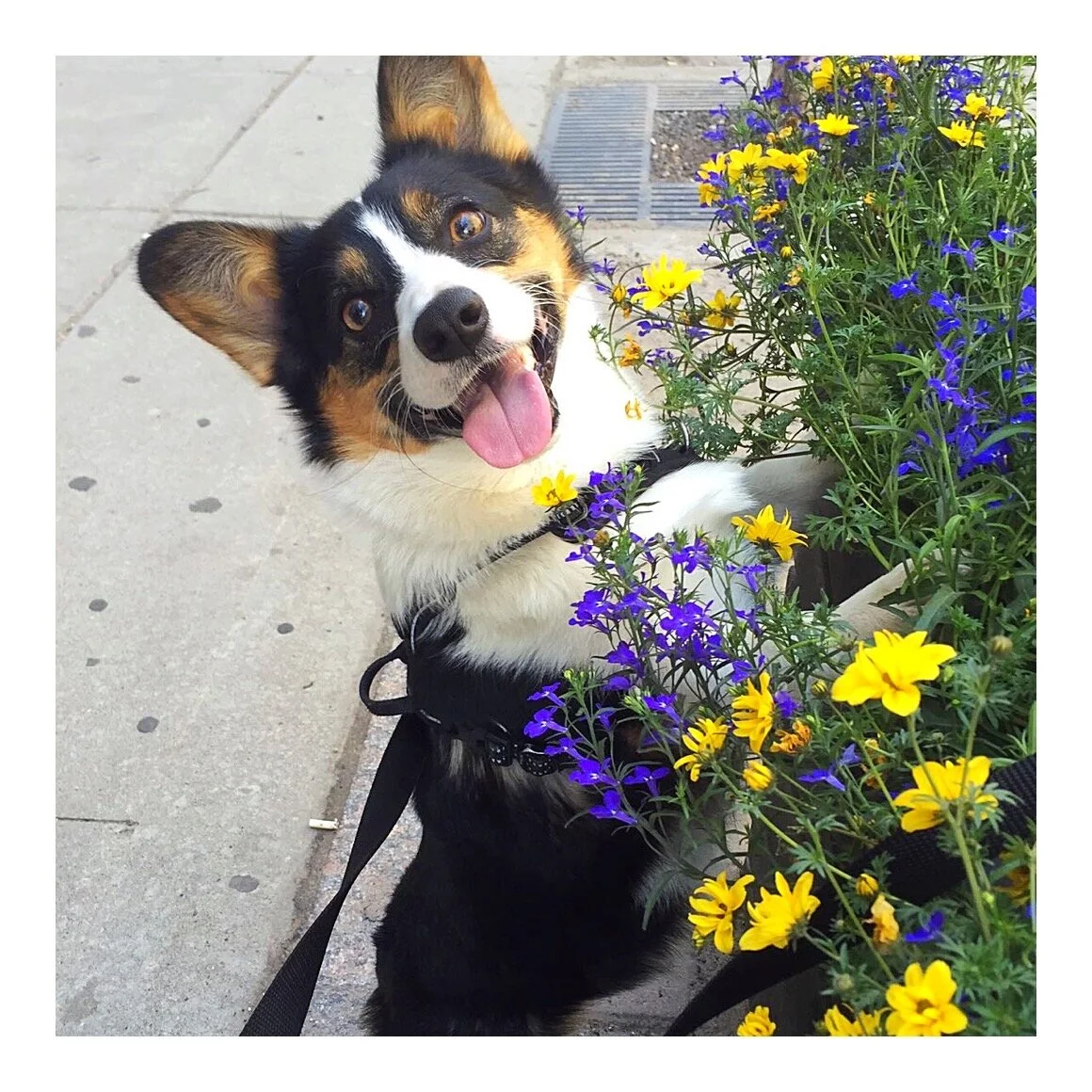 Whitagram-Image (4).JPG