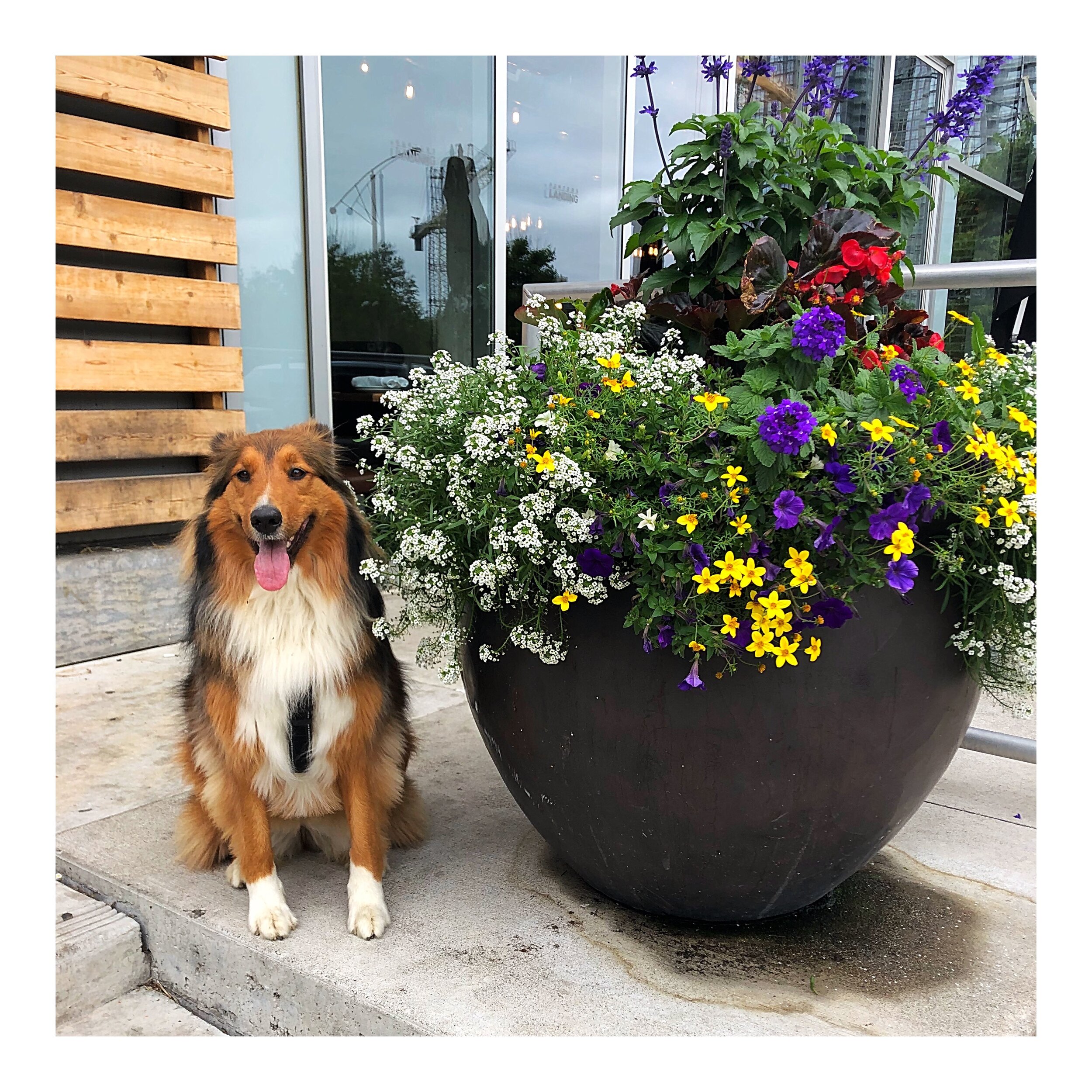 Whitagram-Image (5).JPG