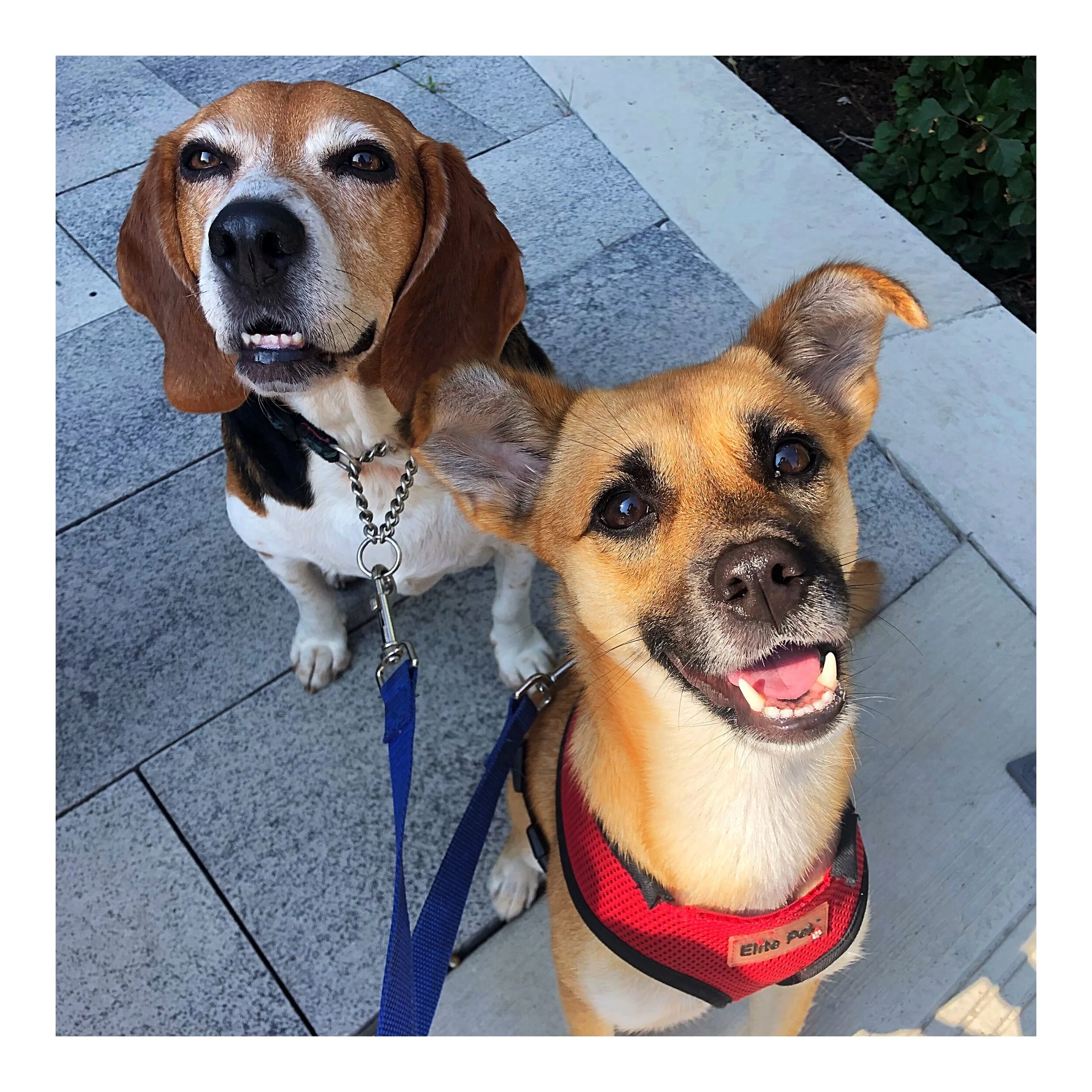 Whitagram-Image (17).JPG