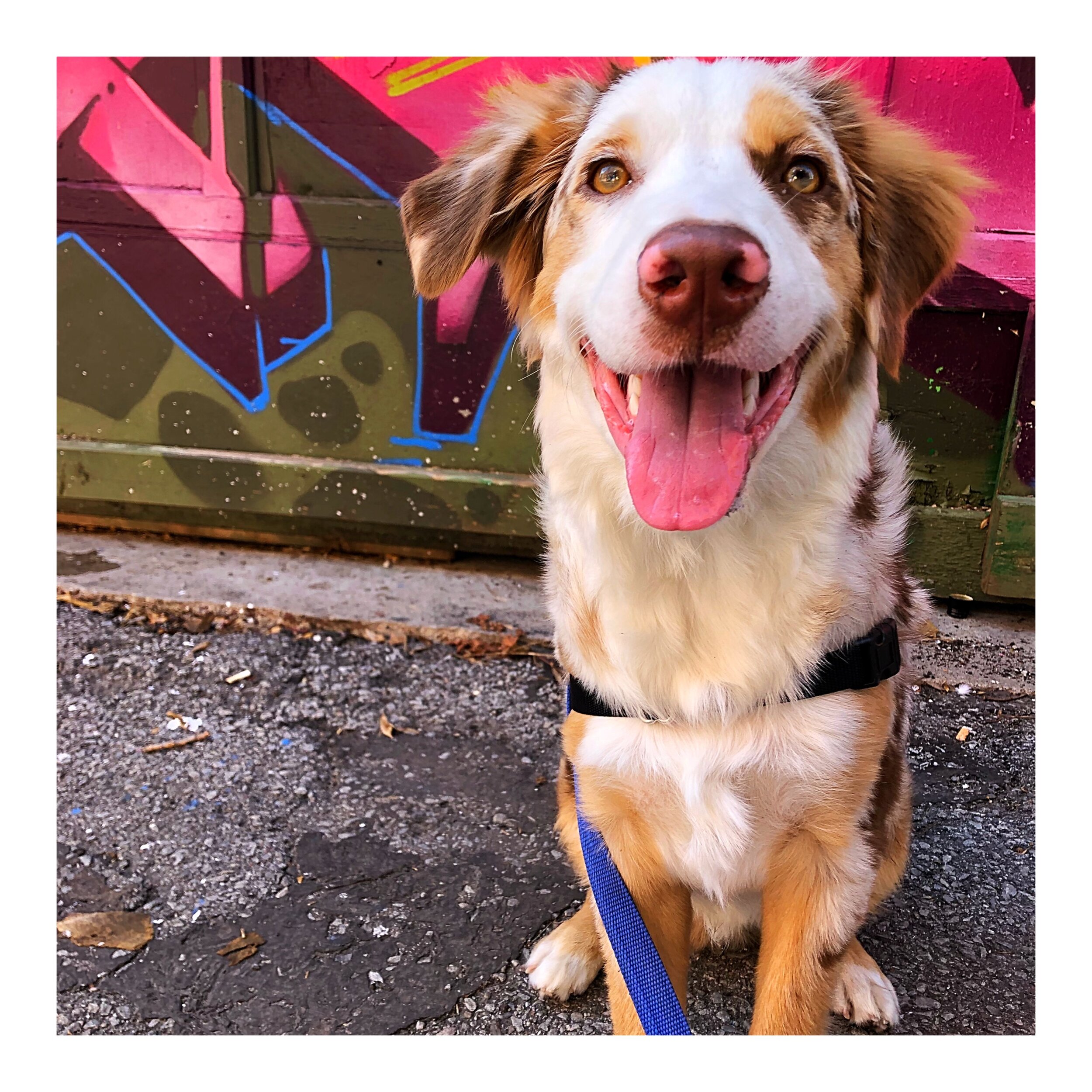 Whitagram-Image (15).JPG