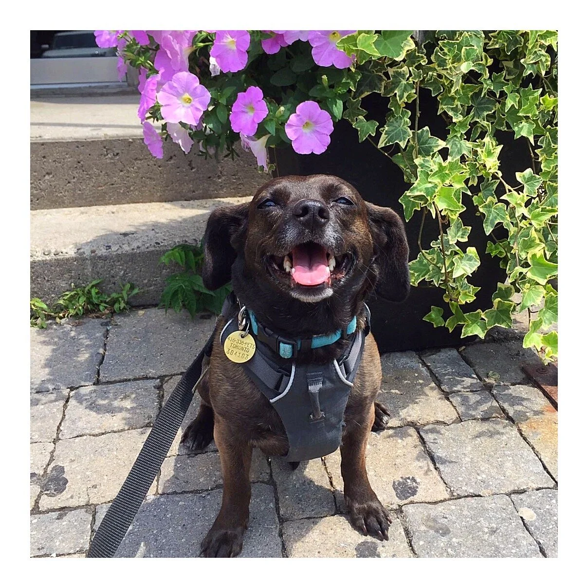 Whitagram-Image (13).JPG