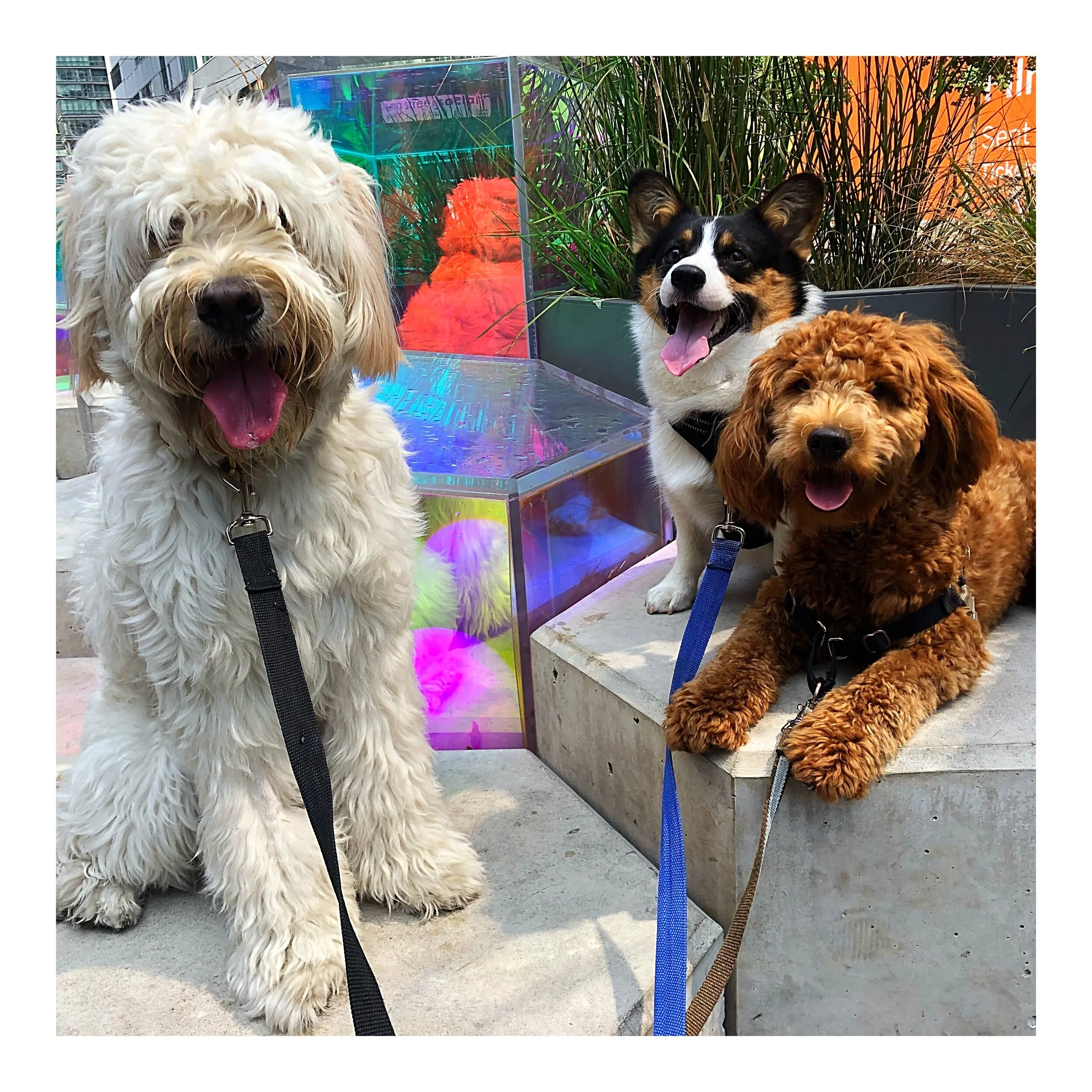 Whitagram-Image (14).JPG