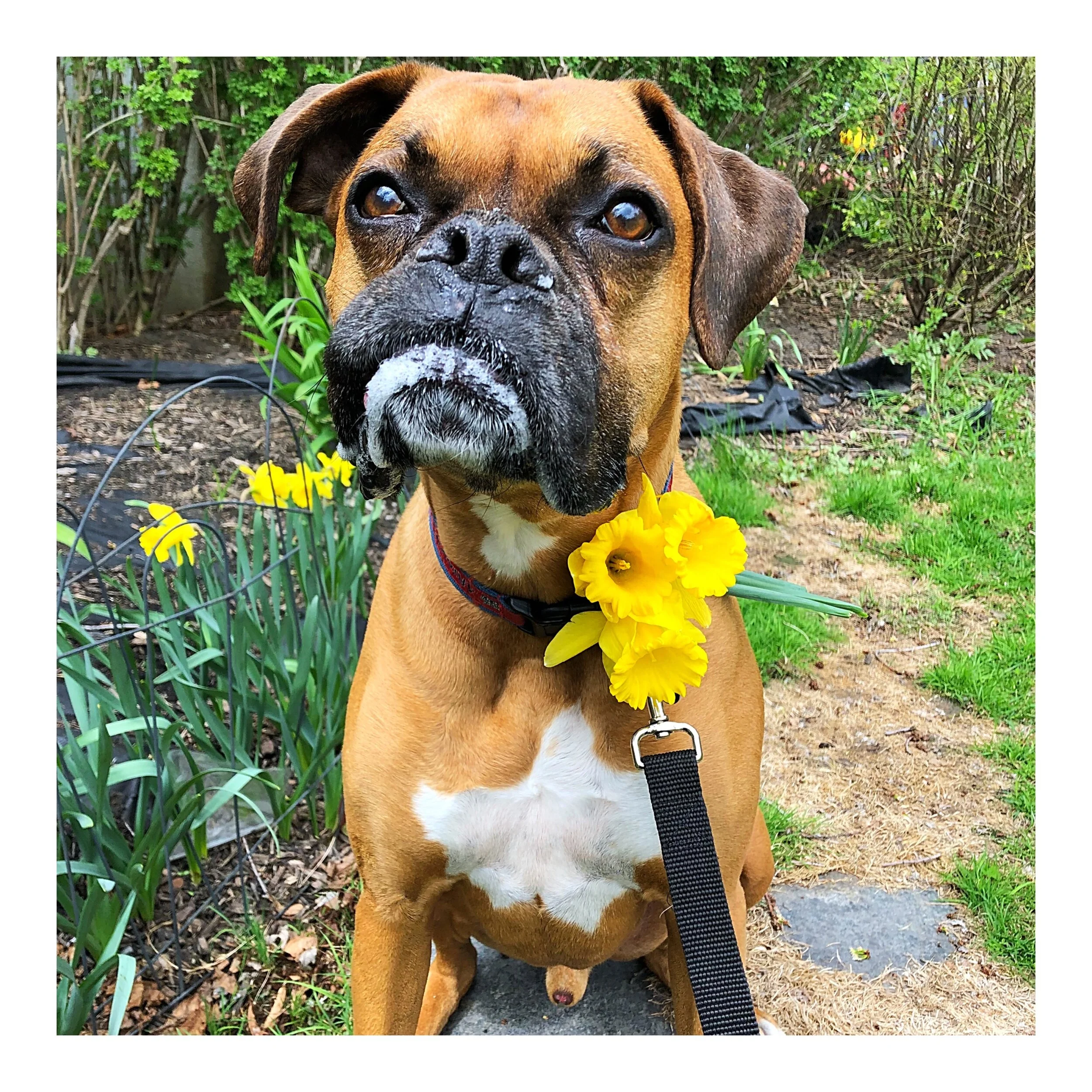 Whitagram-Image (12).JPG