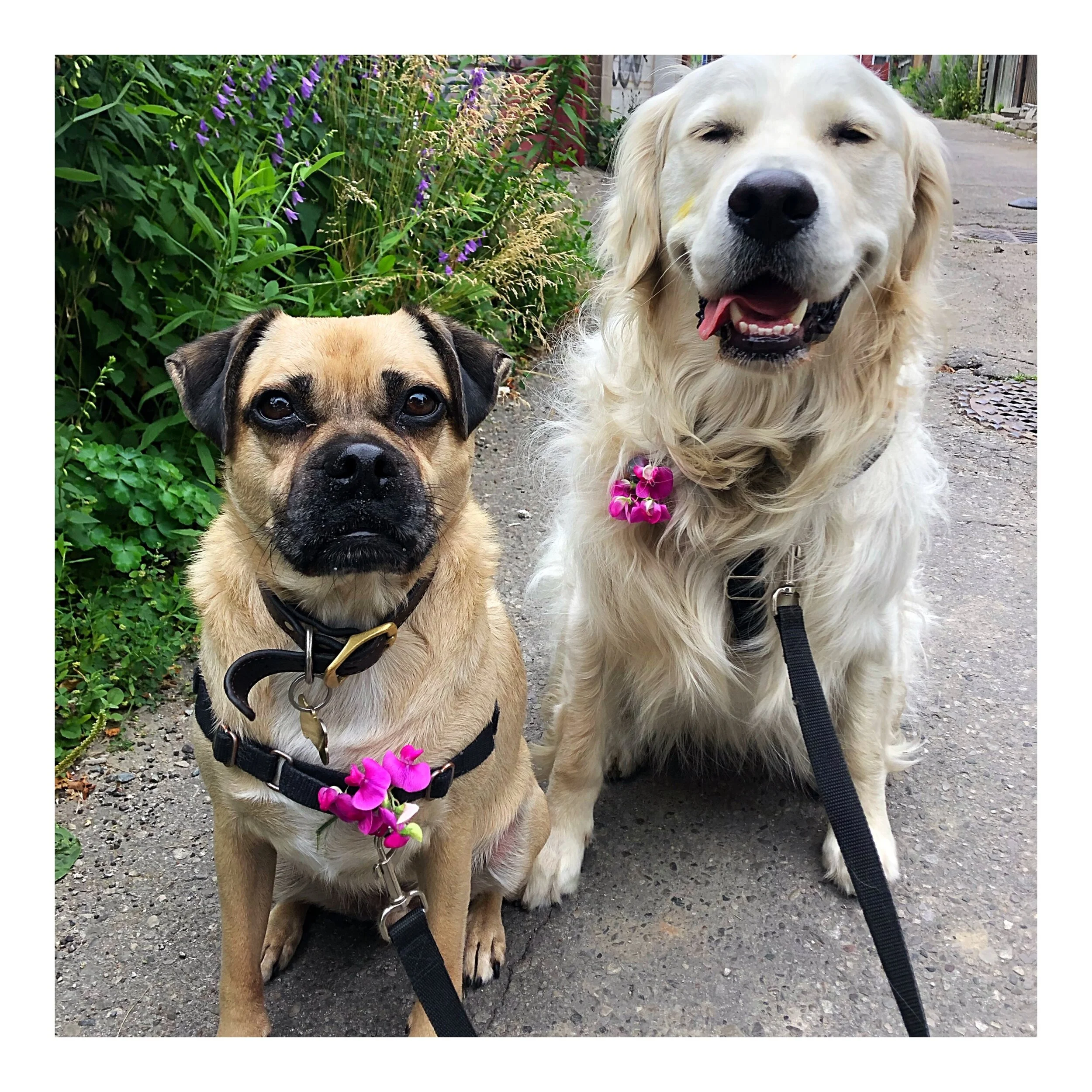 Whitagram-Image (18).JPG