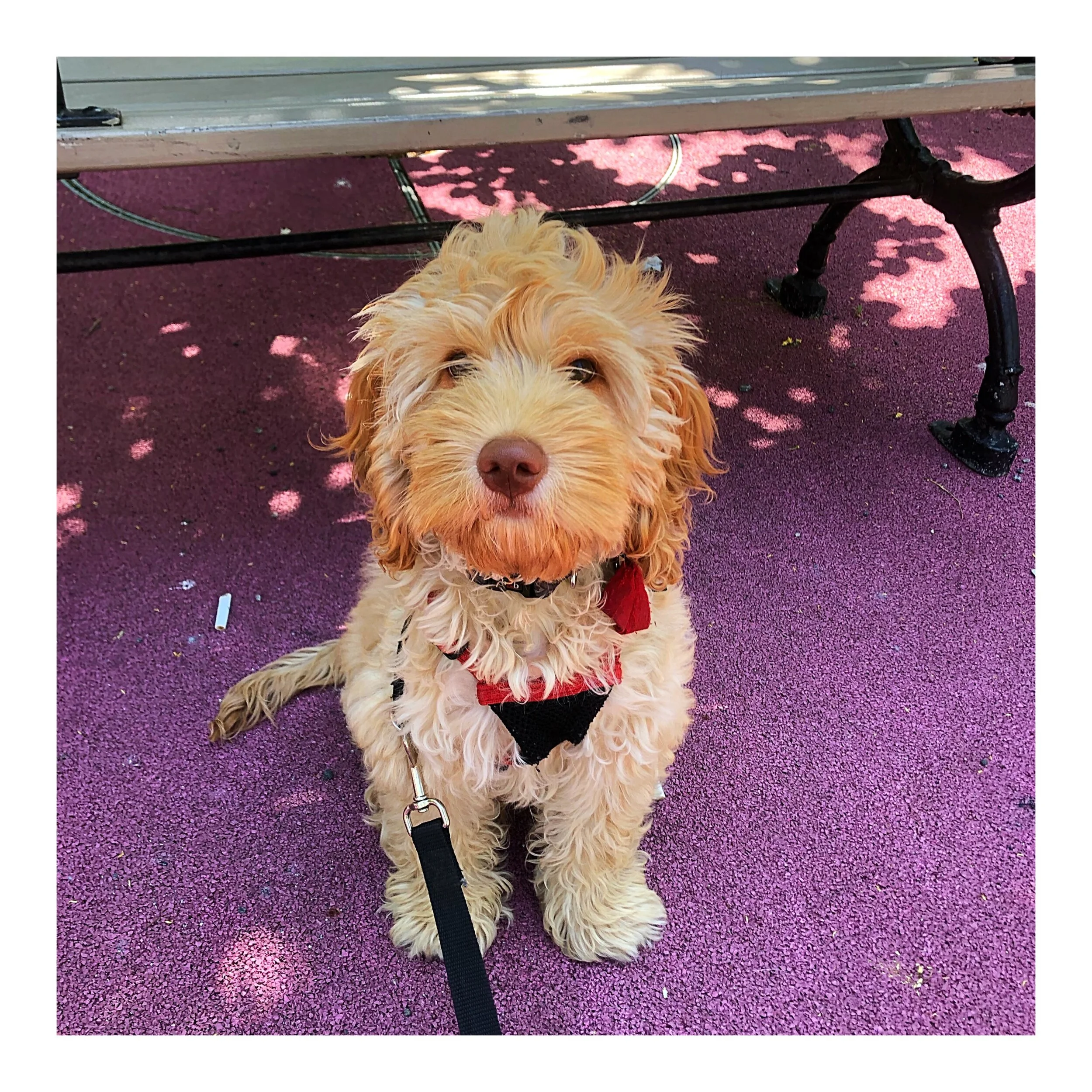 Whitagram-Image (19).JPG