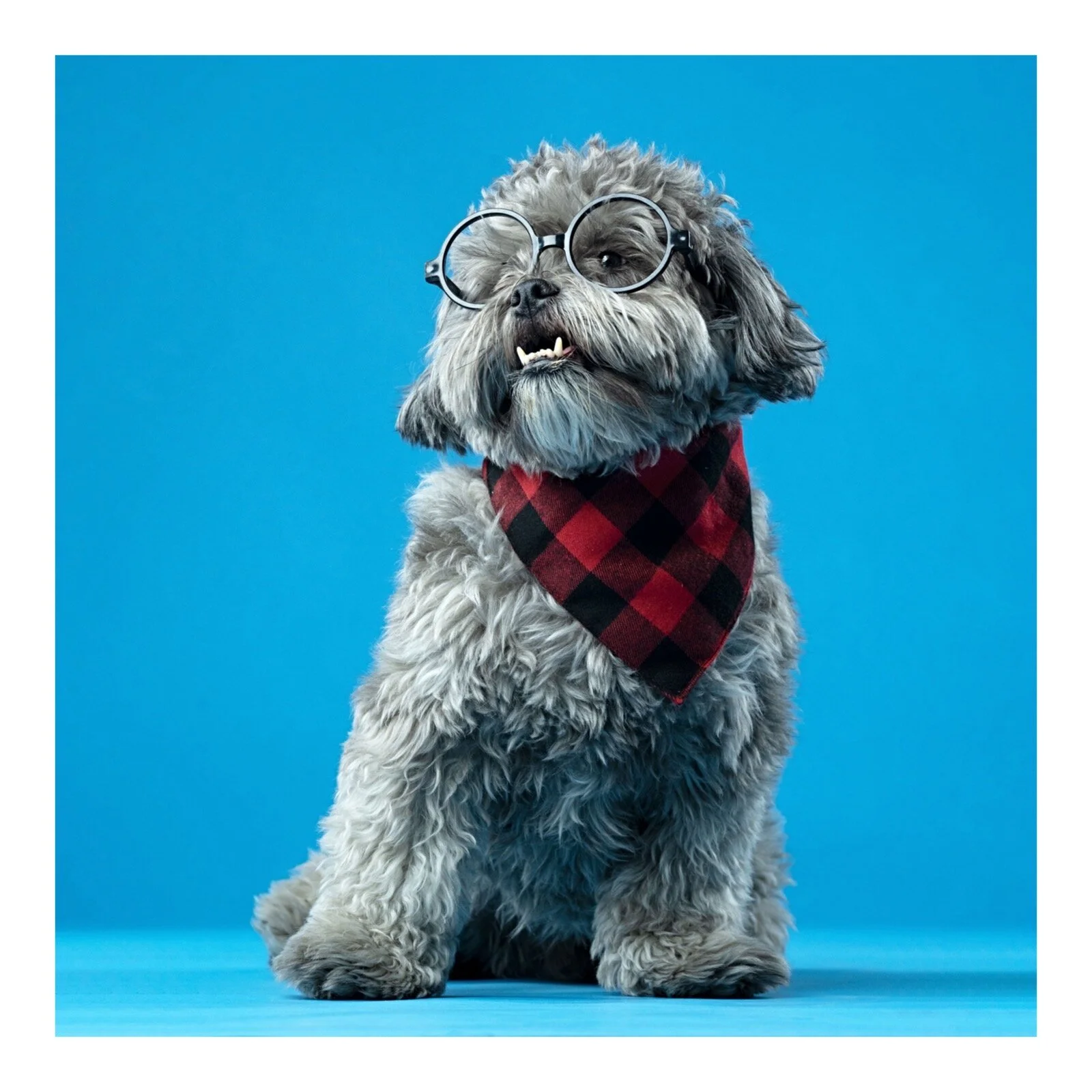 Whitagram-Image (31).JPG