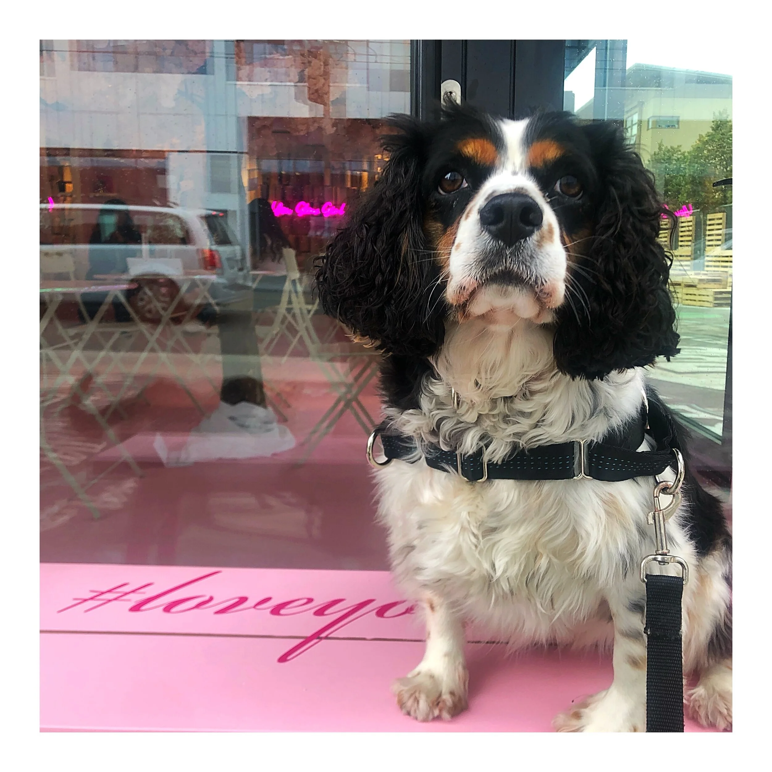 Whitagram-Image (27).JPG