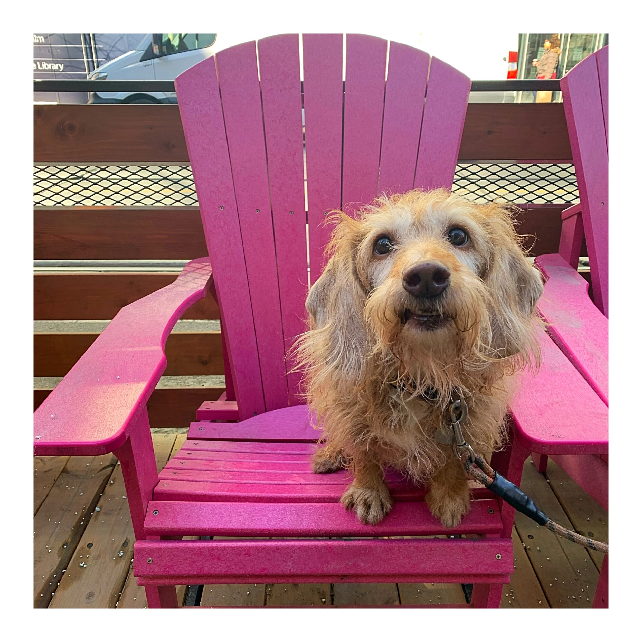 Whitagram-Image (24).JPG