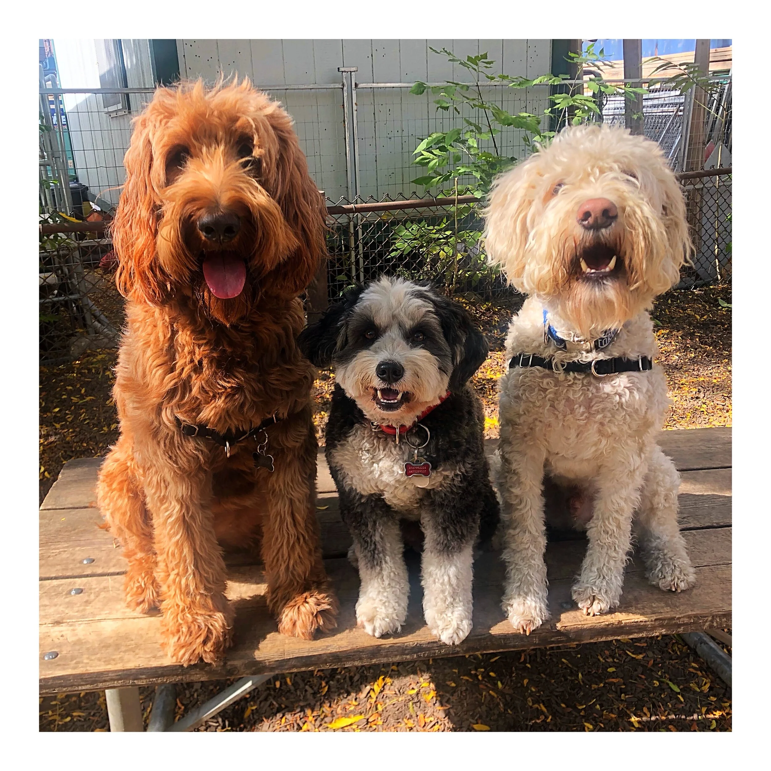 Whitagram-Image (23).JPG