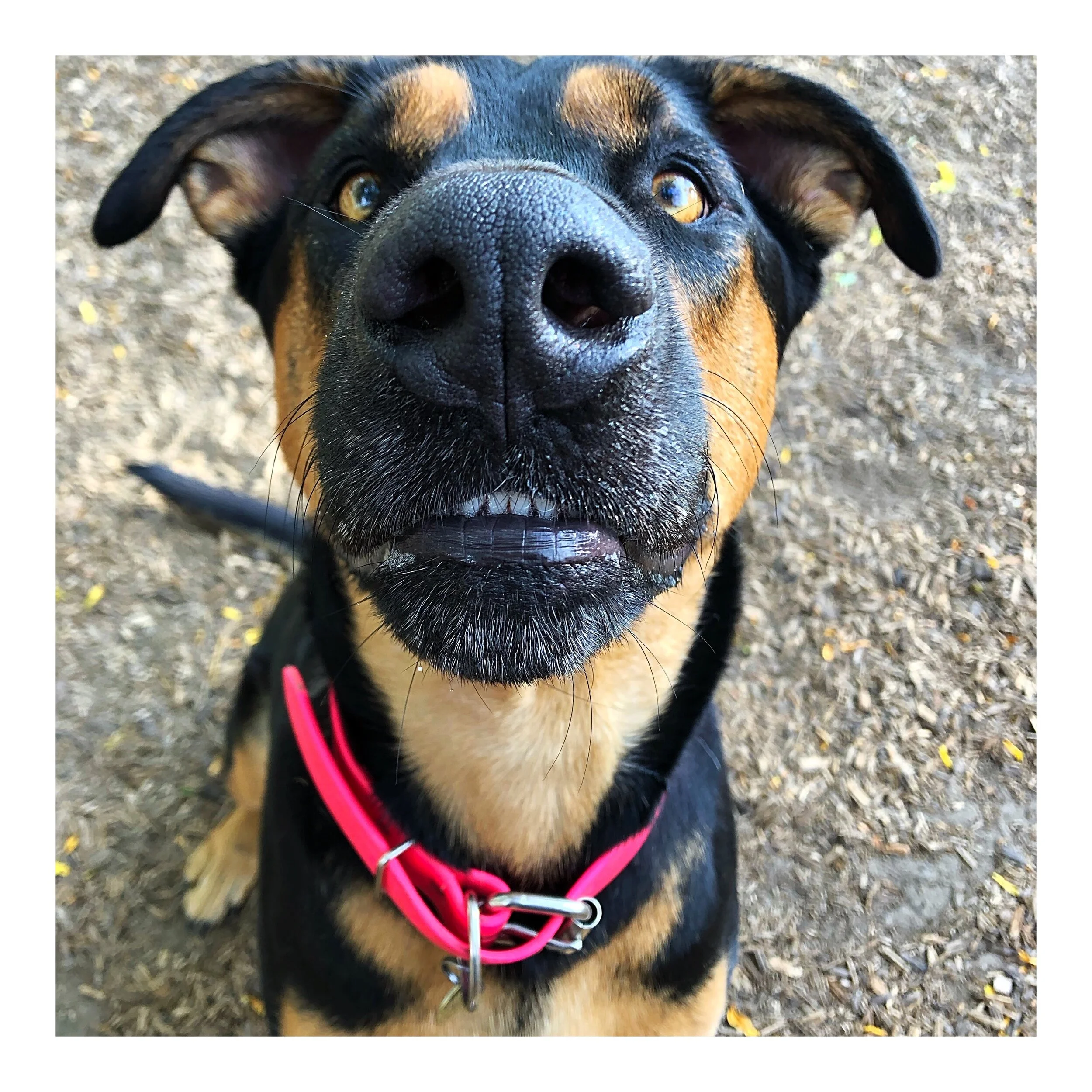 Whitagram-Image (20).JPG