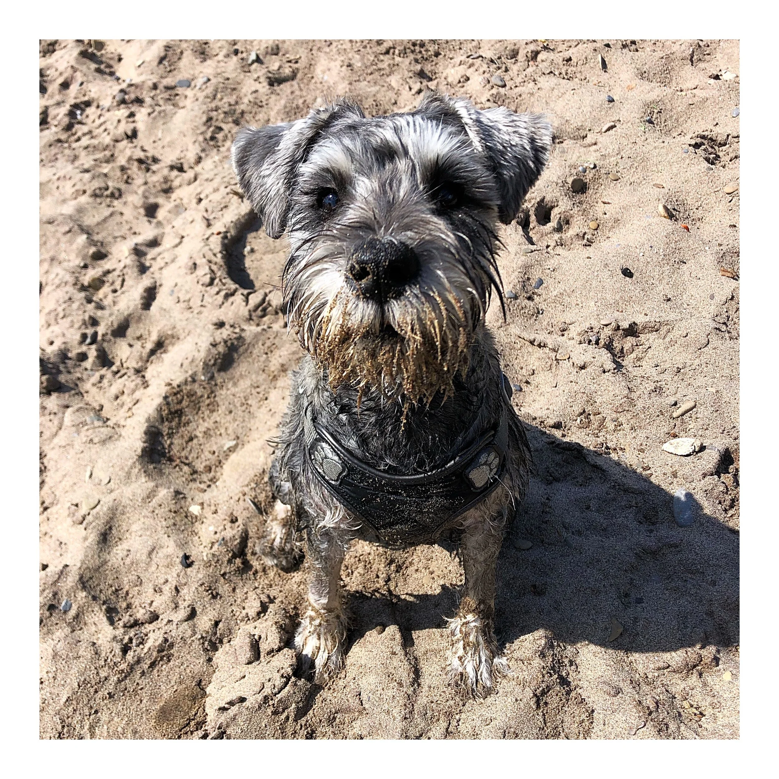 Whitagram-Image (21).JPG