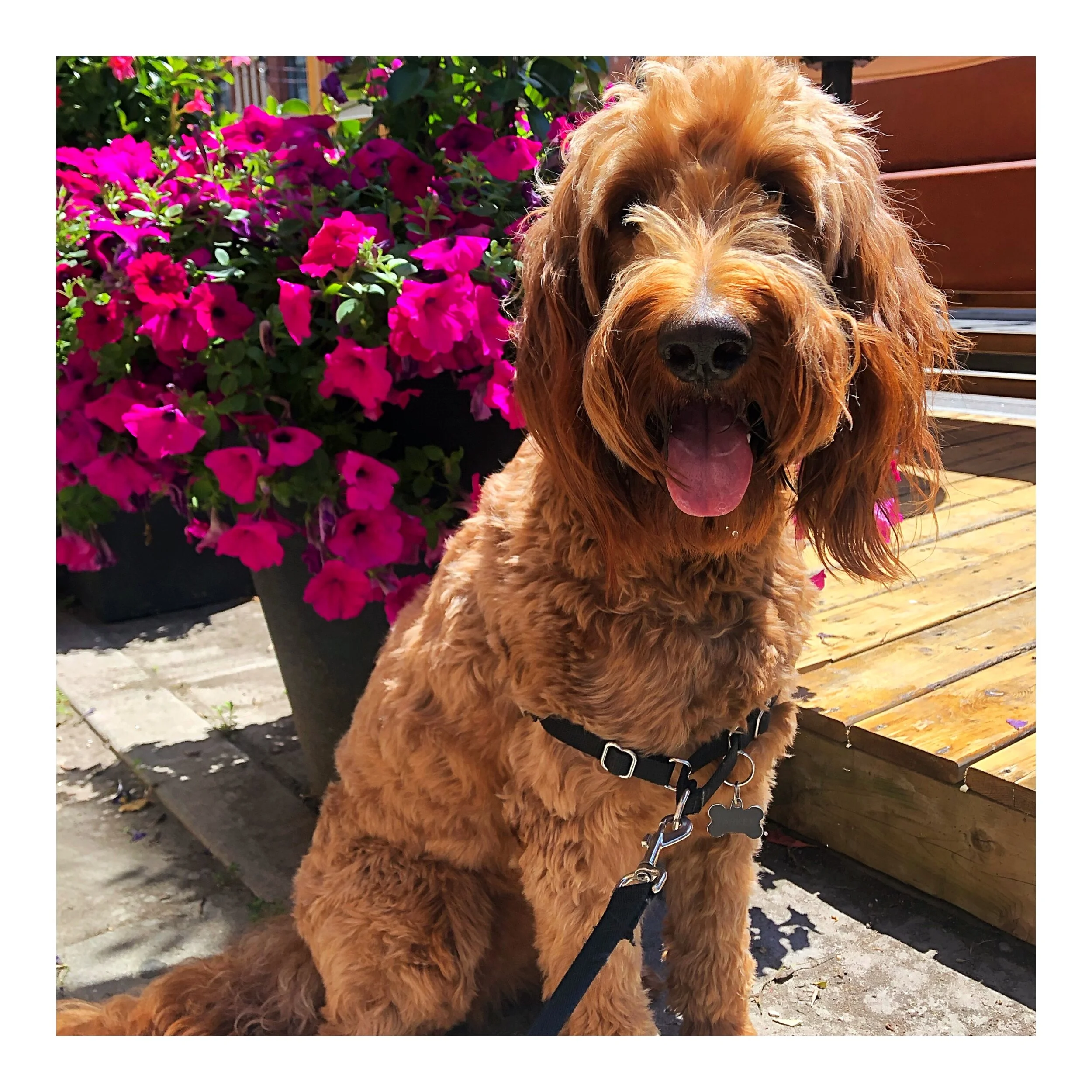 Whitagram-Image (36).JPG