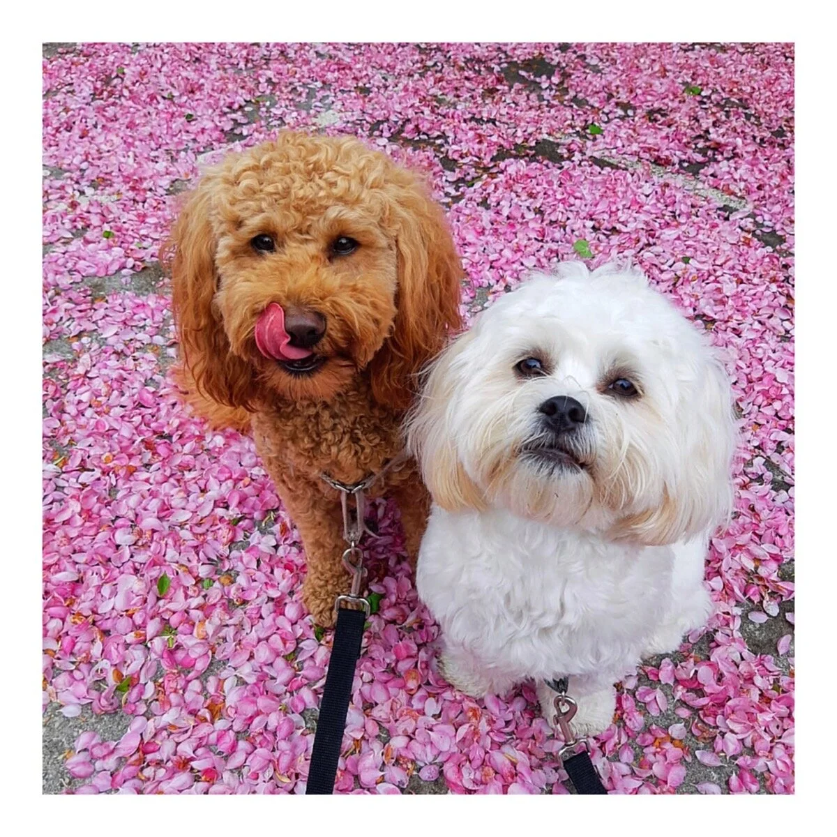 Whitagram-Image (32).JPG