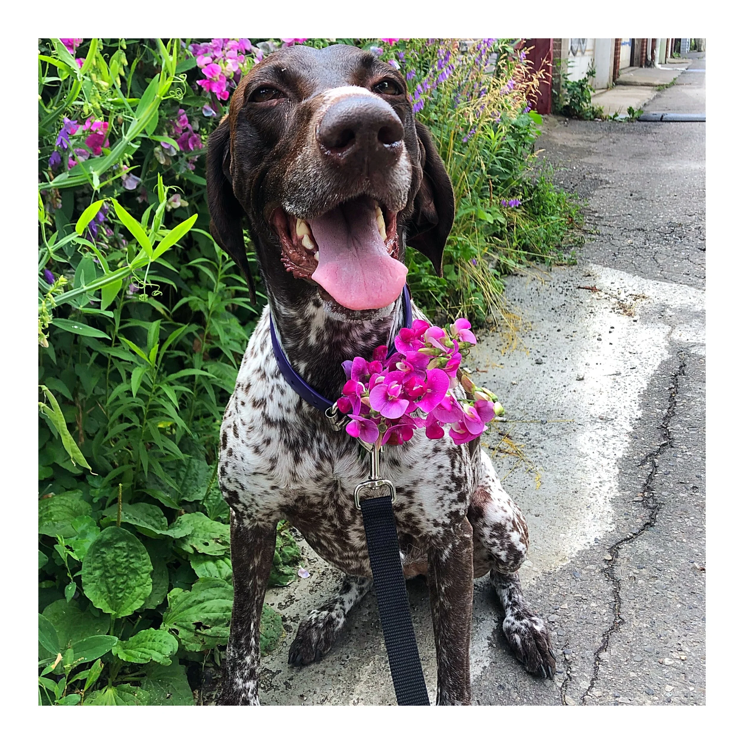 Whitagram-Image (34).JPG