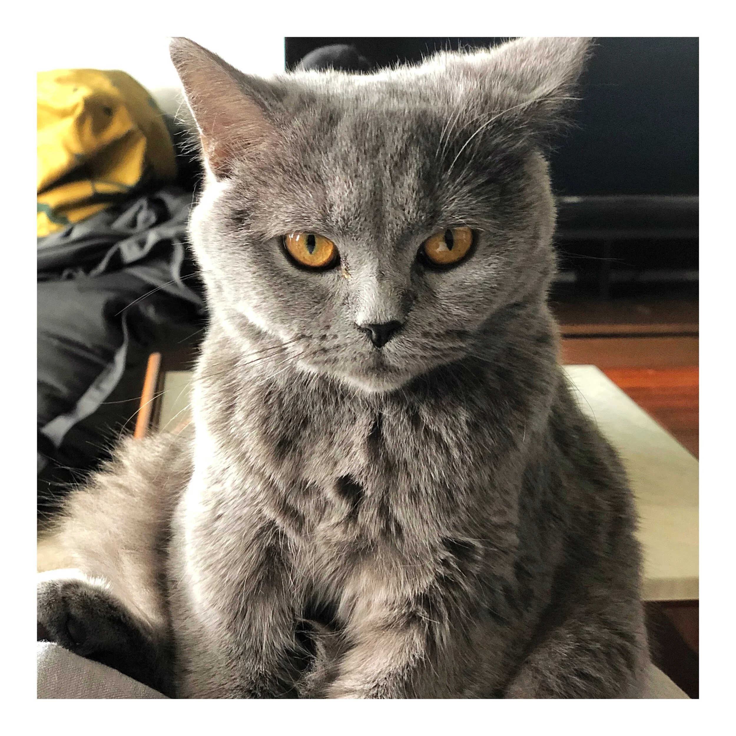 Whitagram-Image (37).JPG