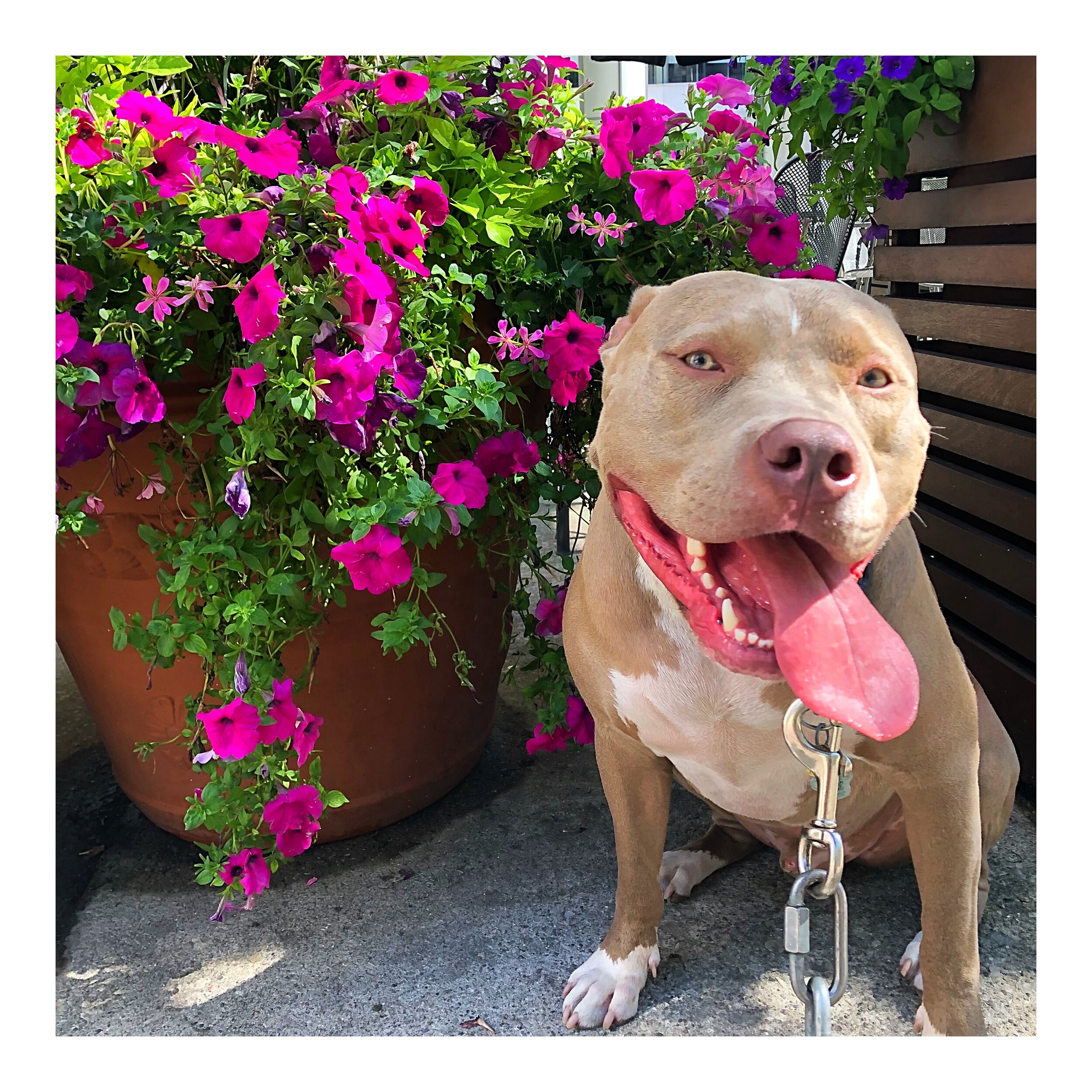 tempImageForSave (1).JPG