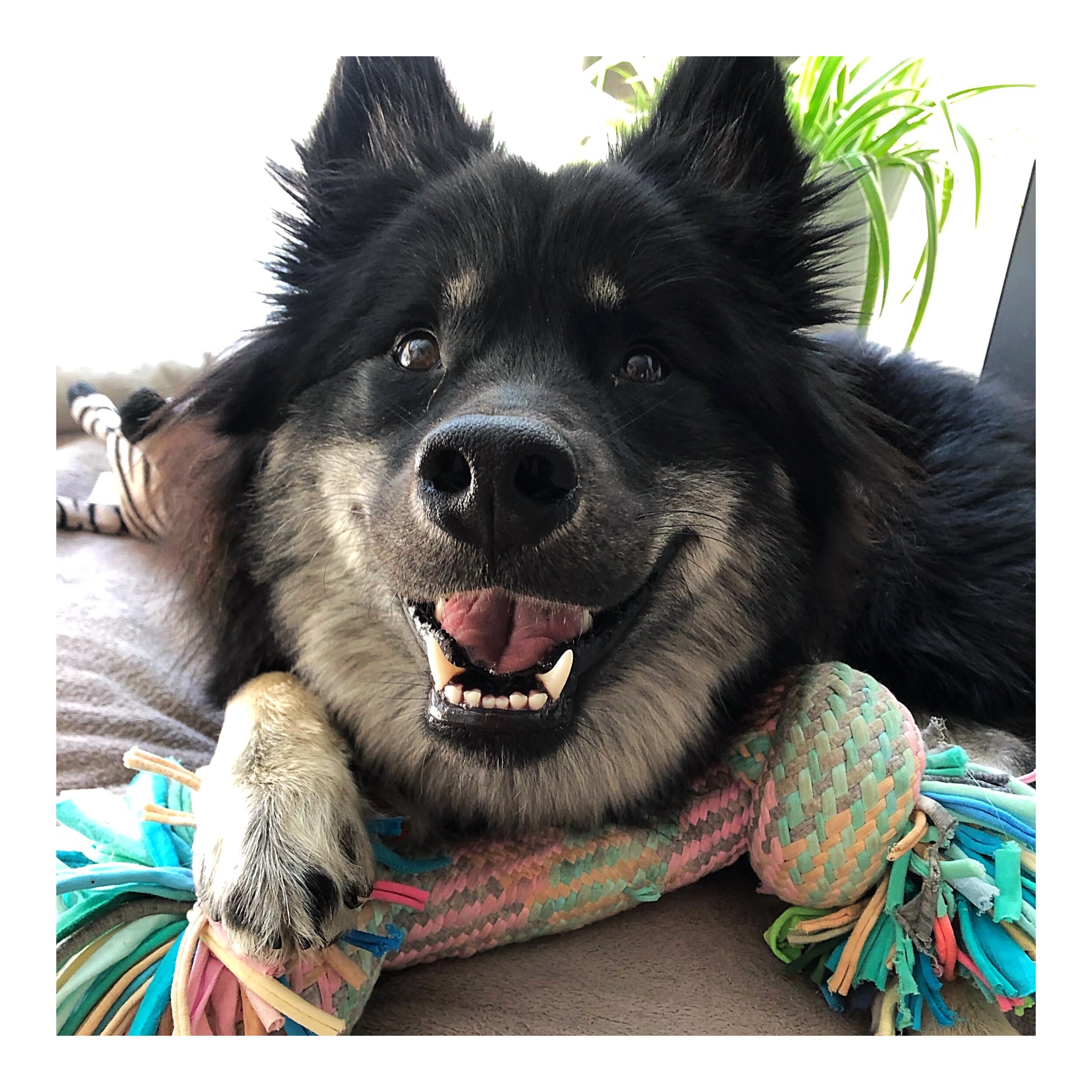 Whitagram-Image (42).JPG