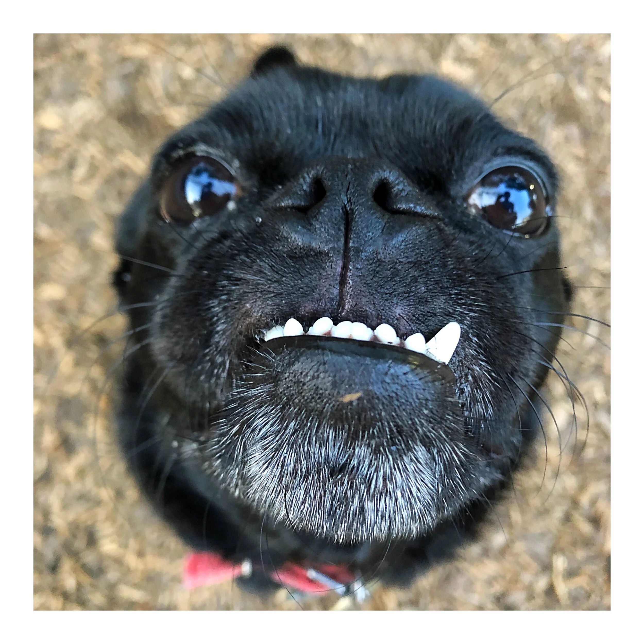 Whitagram-Image (43).JPG