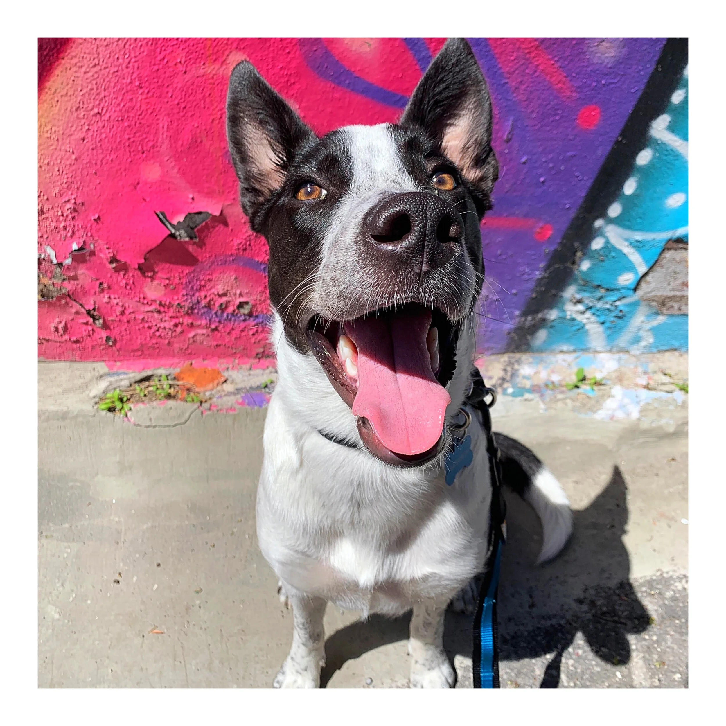 Whitagram-Image (39).JPG