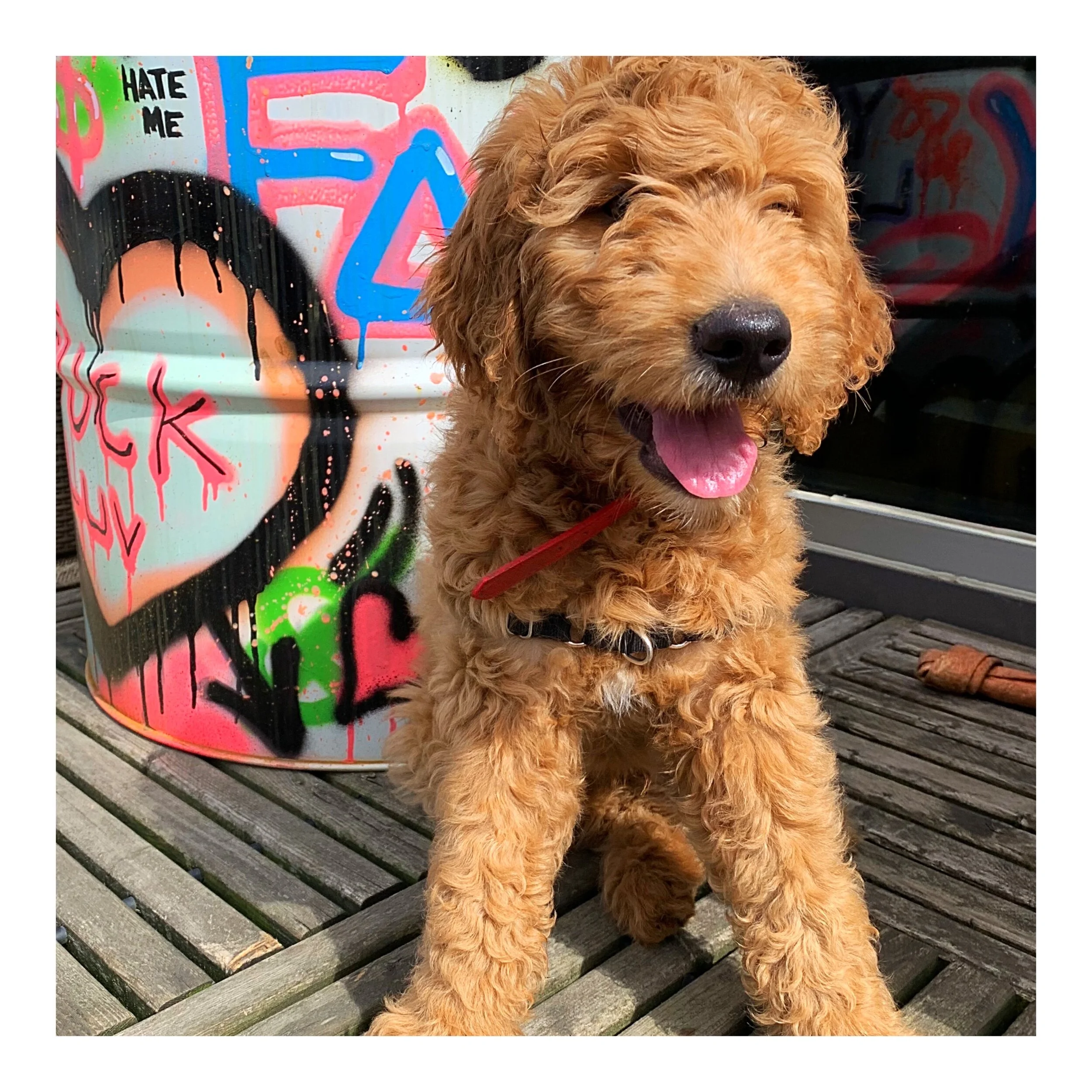 Whitagram-Image (47).JPG