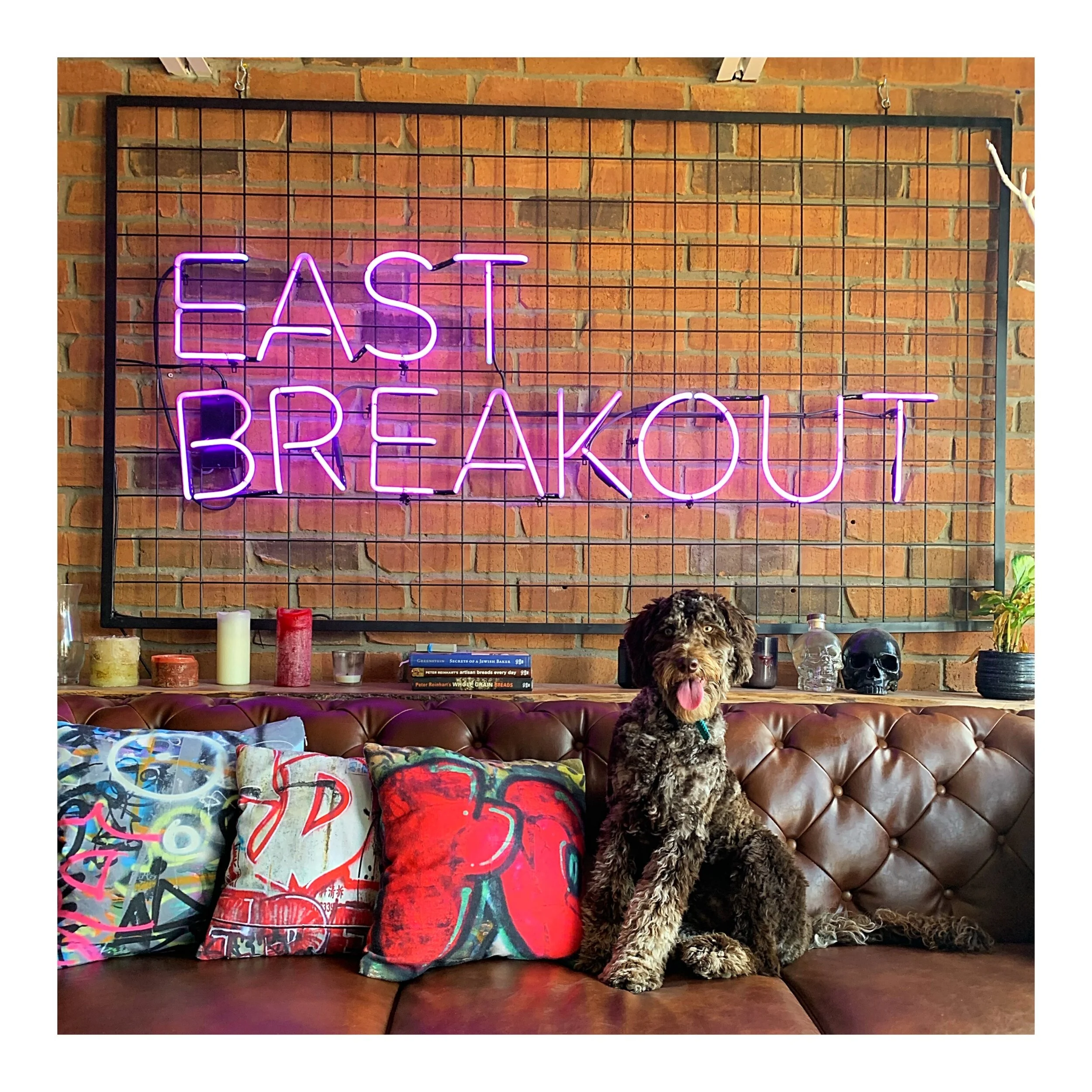 Whitagram-Image (48).JPG