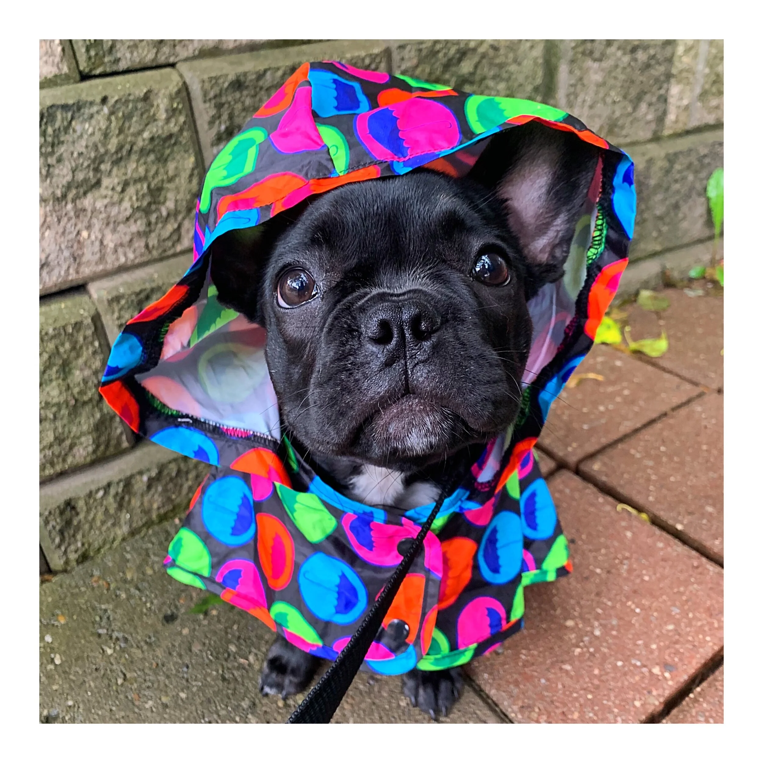 Whitagram-Image (44).JPG