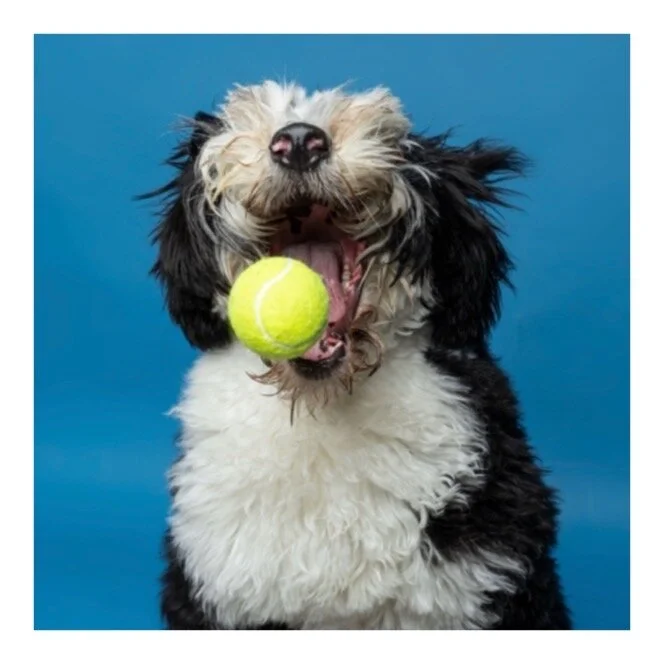 Whitagram-Image (51).JPG