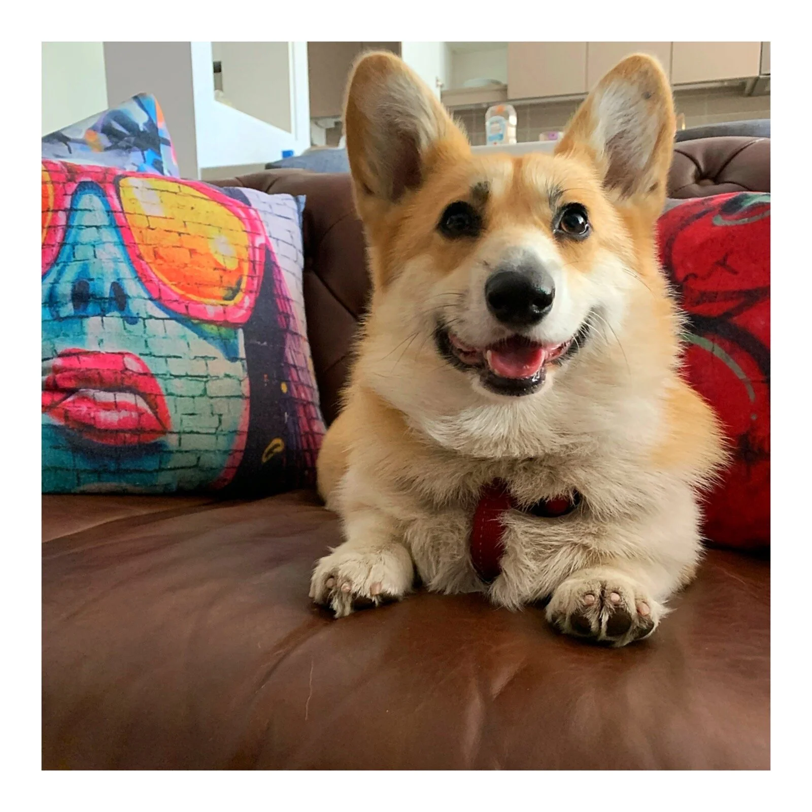 Whitagram-Image (53).JPG