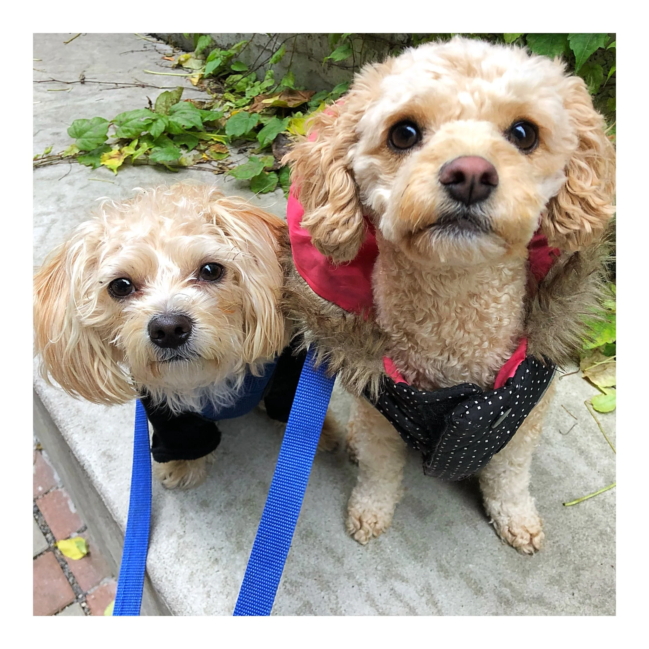 Whitagram-Image (49).JPG