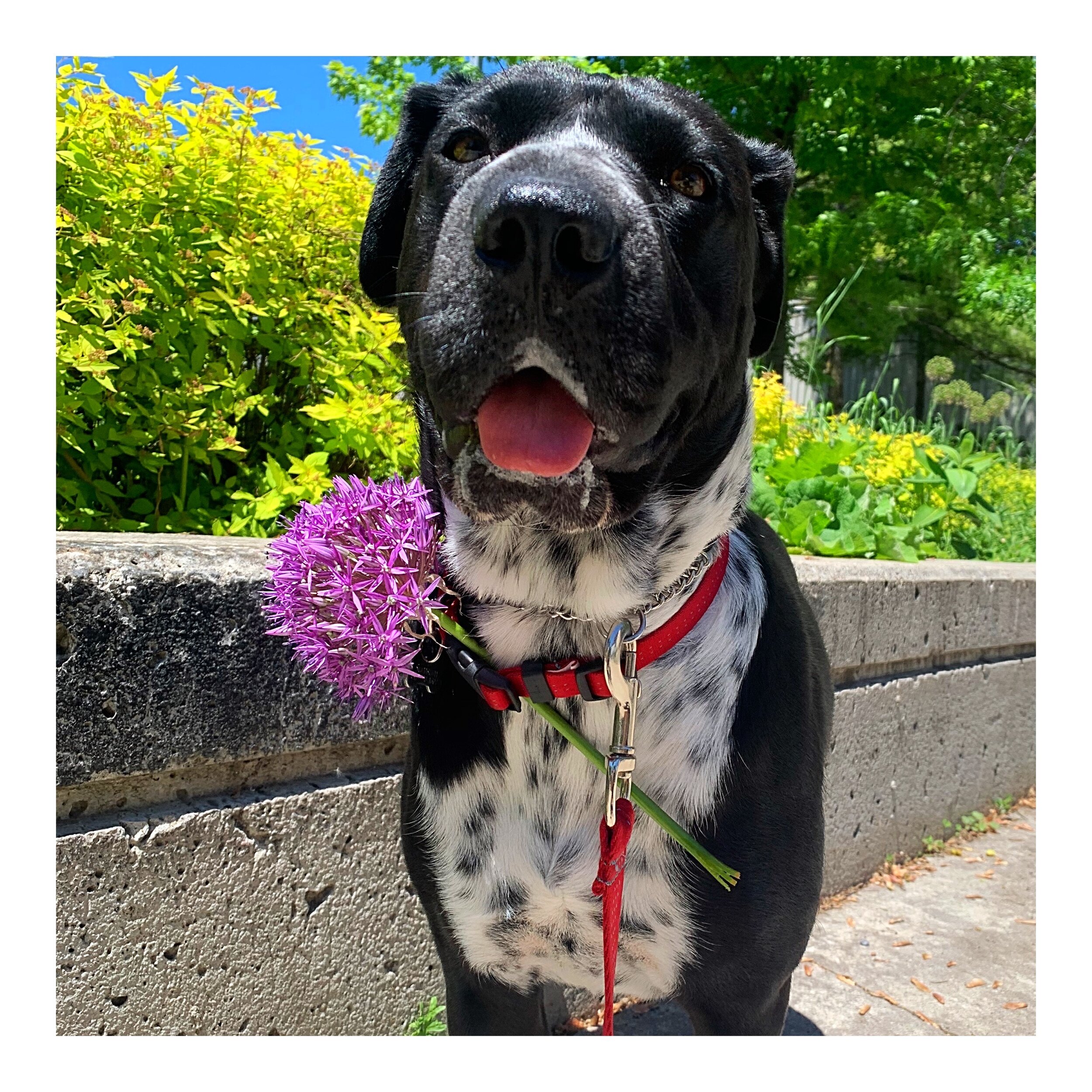 Whitagram-Image (50).JPG