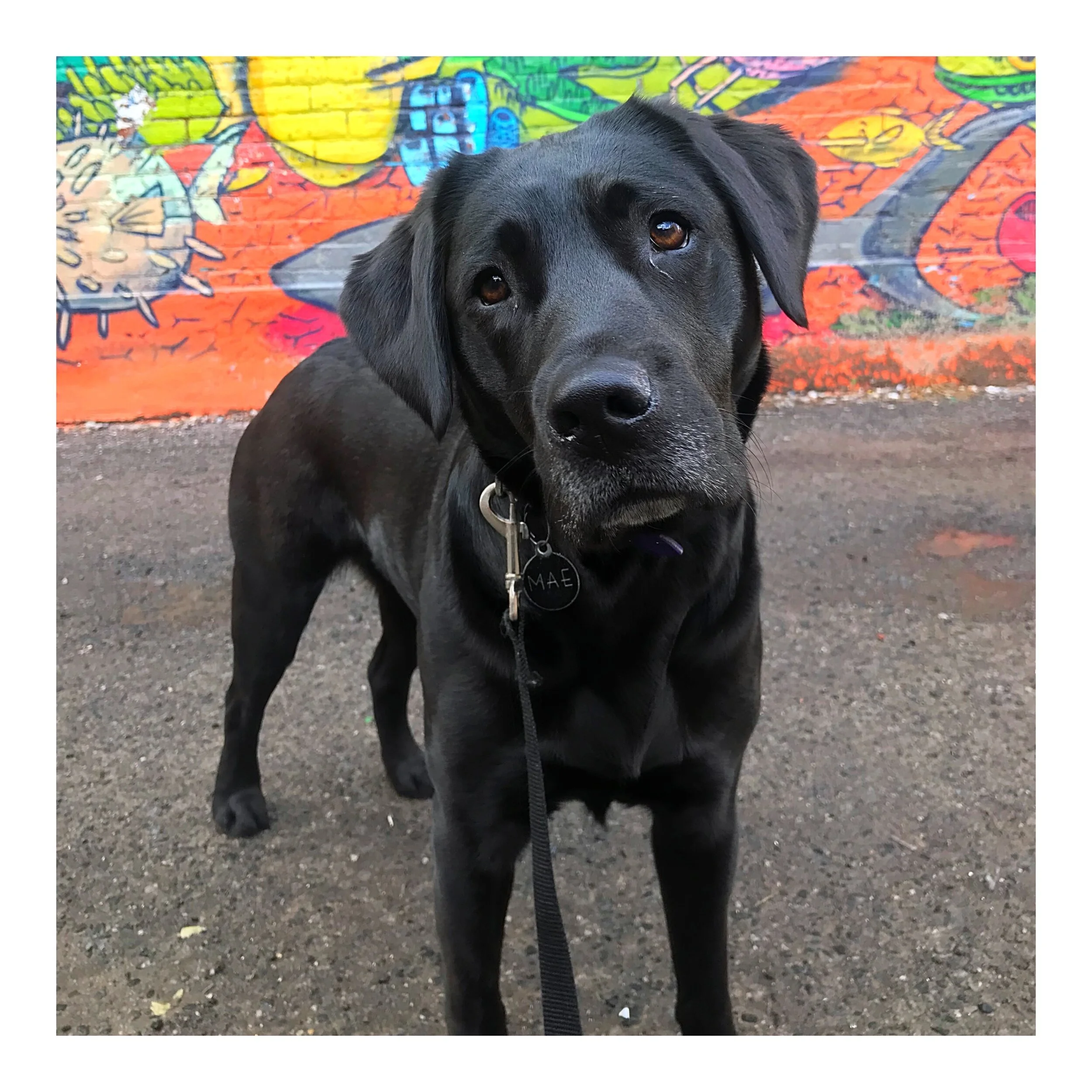 Whitagram-Image (55).JPG